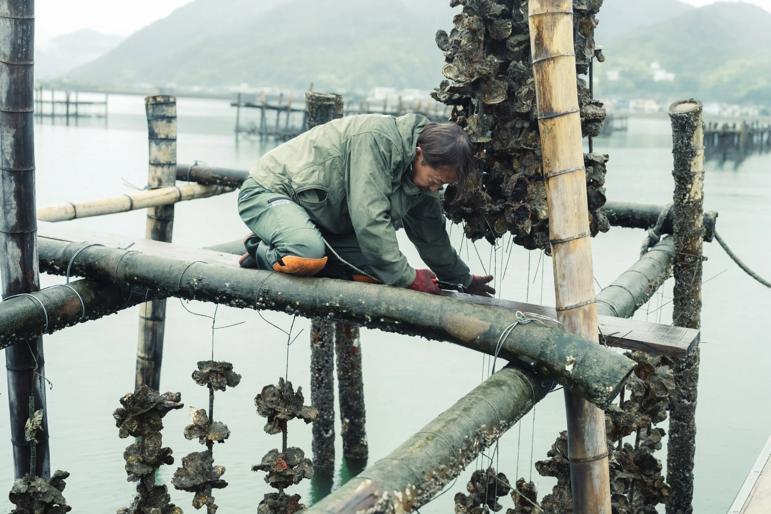 30-HIROSHIMA_OysterFarming_KanedaSuisan_2560px_154.jpg