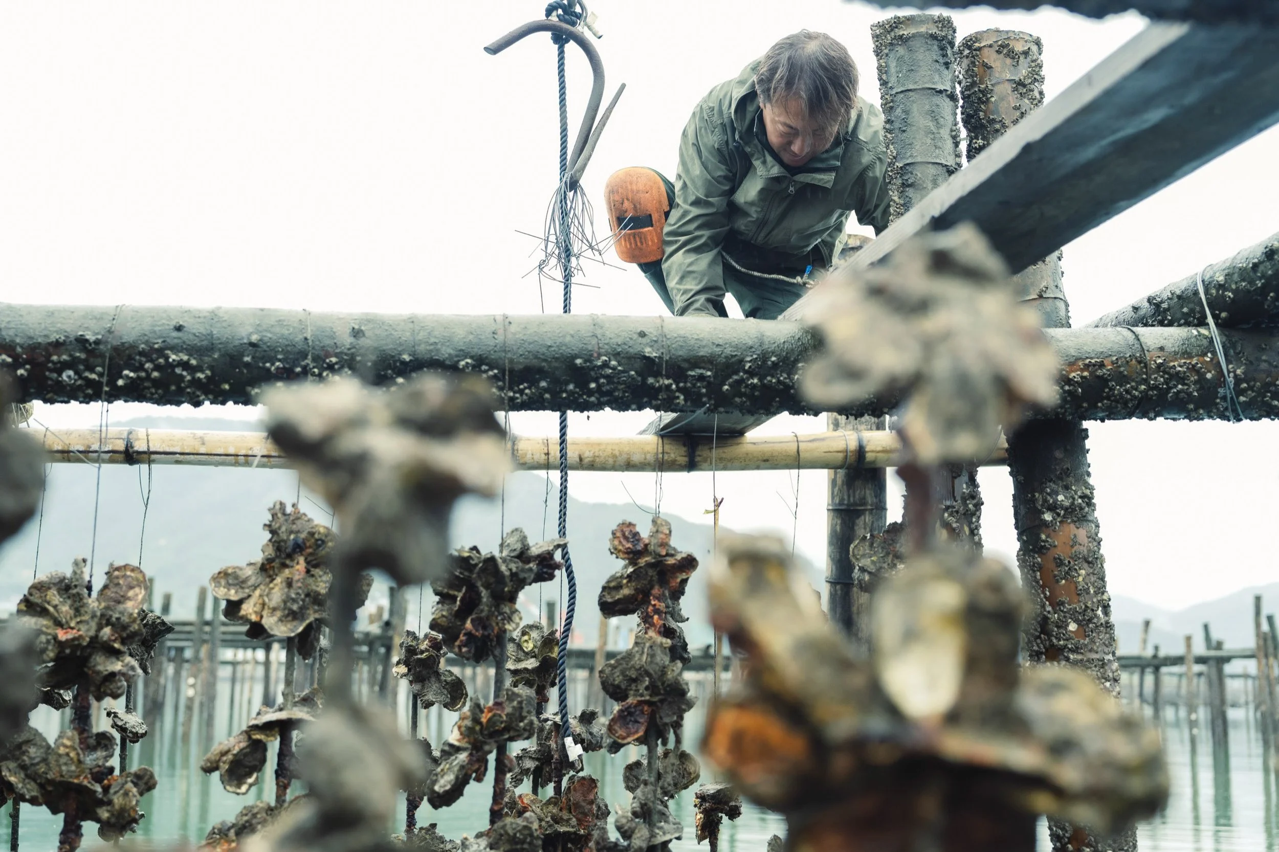 32-HIROSHIMA_OysterFarming_KanedaSuisan_2560px_165.jpg