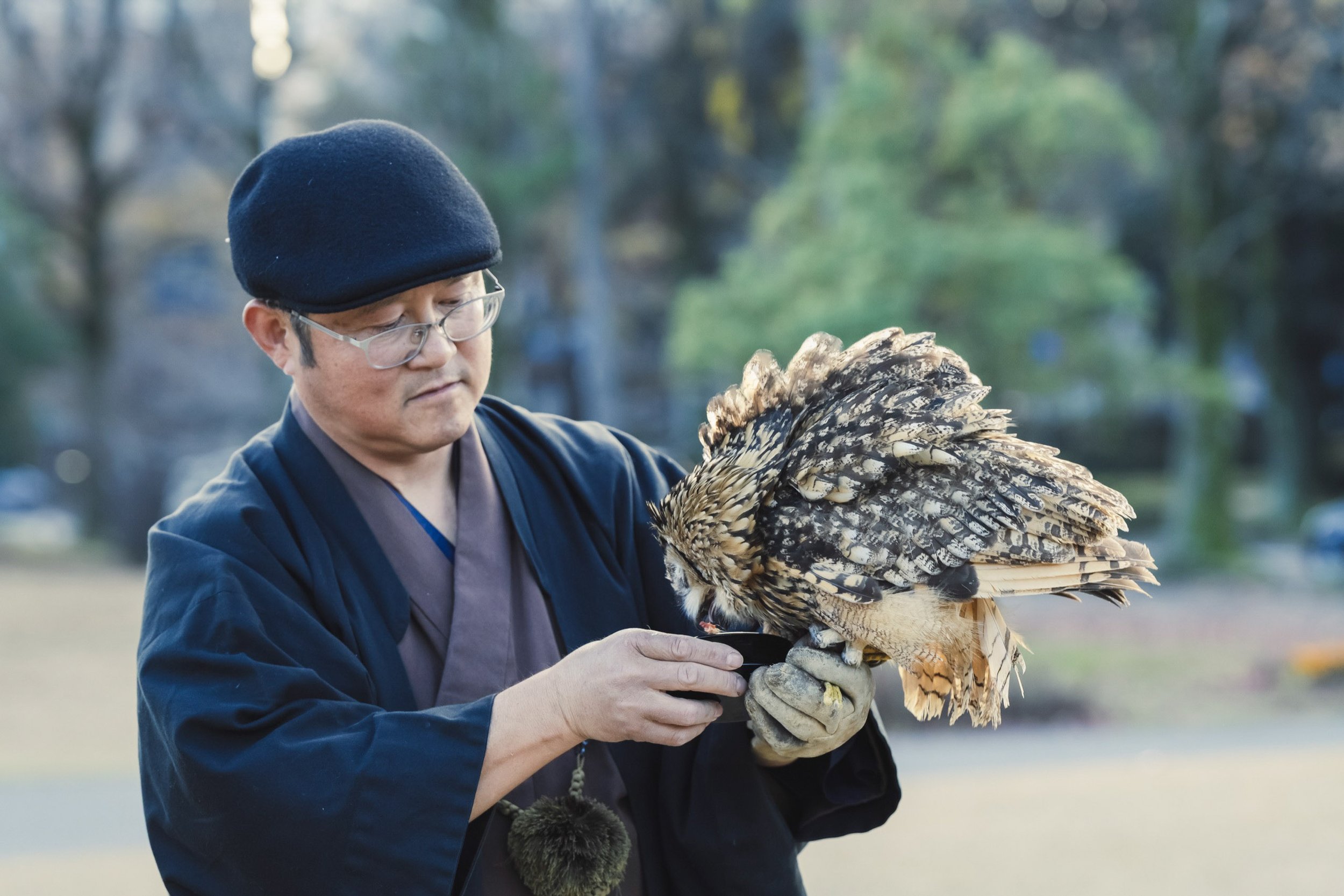 4-KANAZAWA_Falconry_Takamaru_2560px_033.jpg