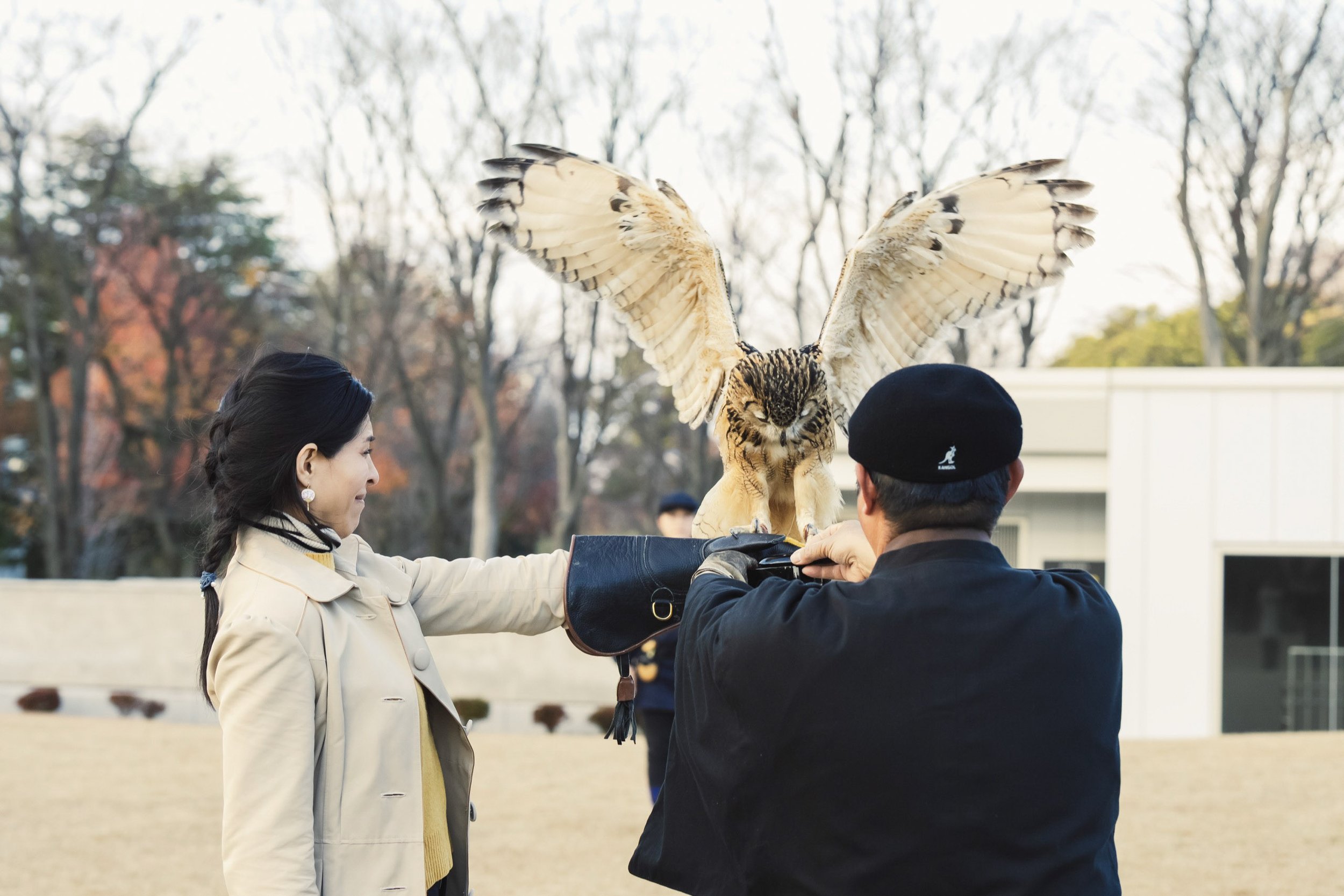 7-KANAZAWA_Falconry_Takamaru_2560px_054.jpg