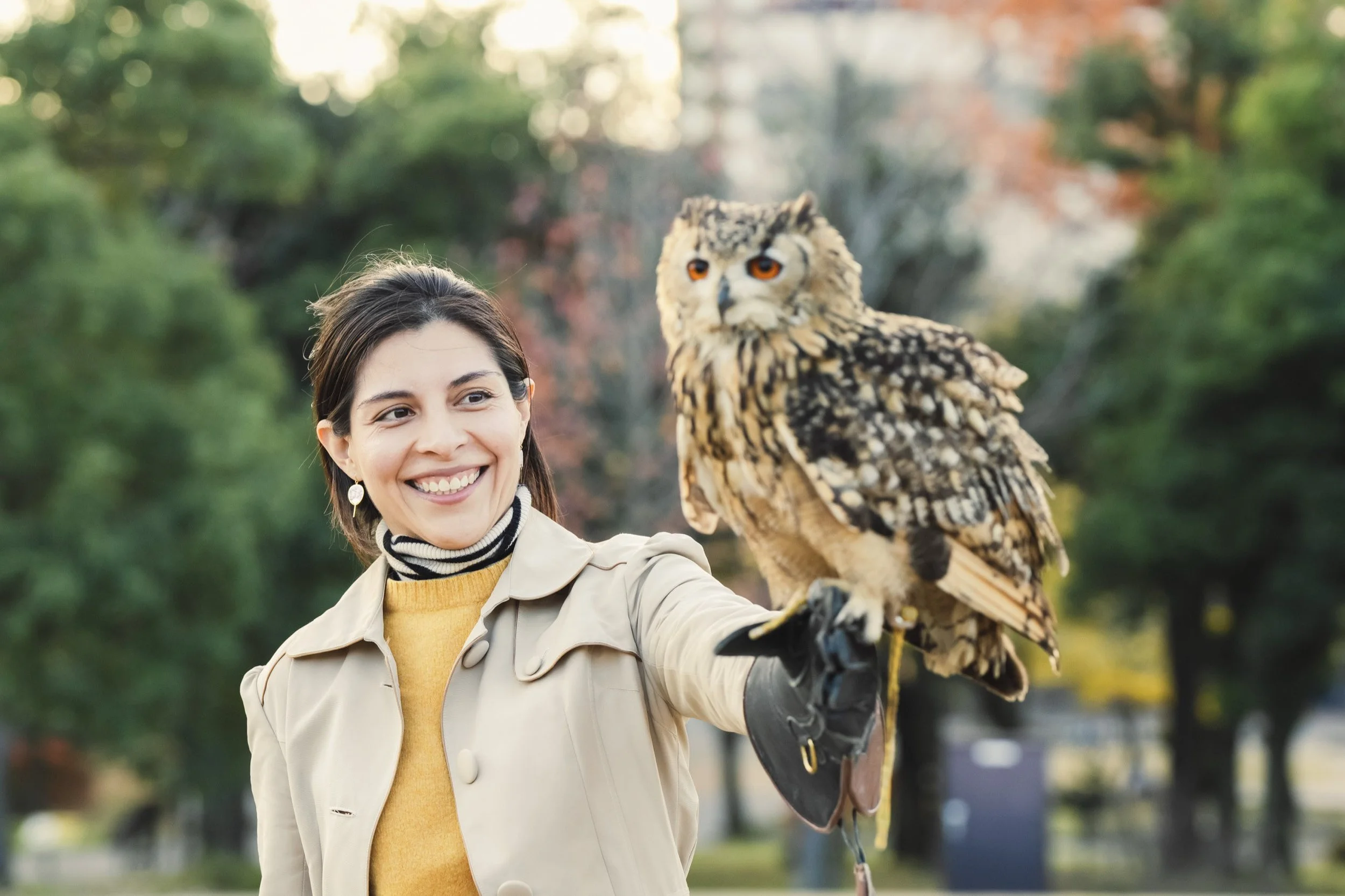8-KANAZAWA_Falconry_Takamaru_2560px_064.jpg