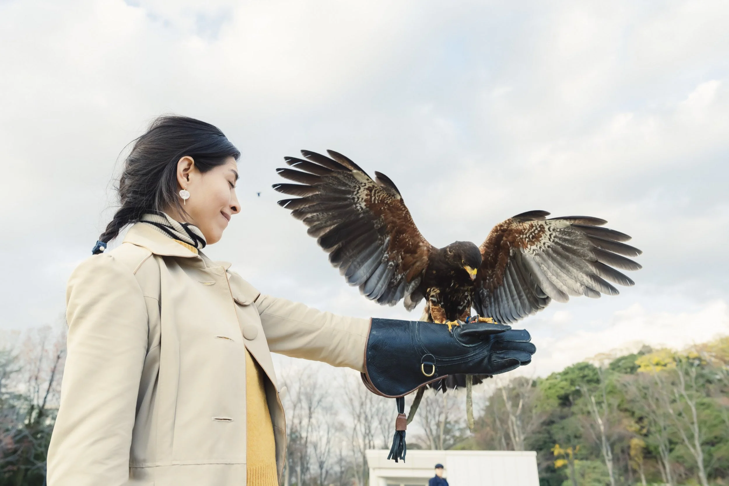 13-KANAZAWA_Falconry_Takamaru_2560px_133.jpg