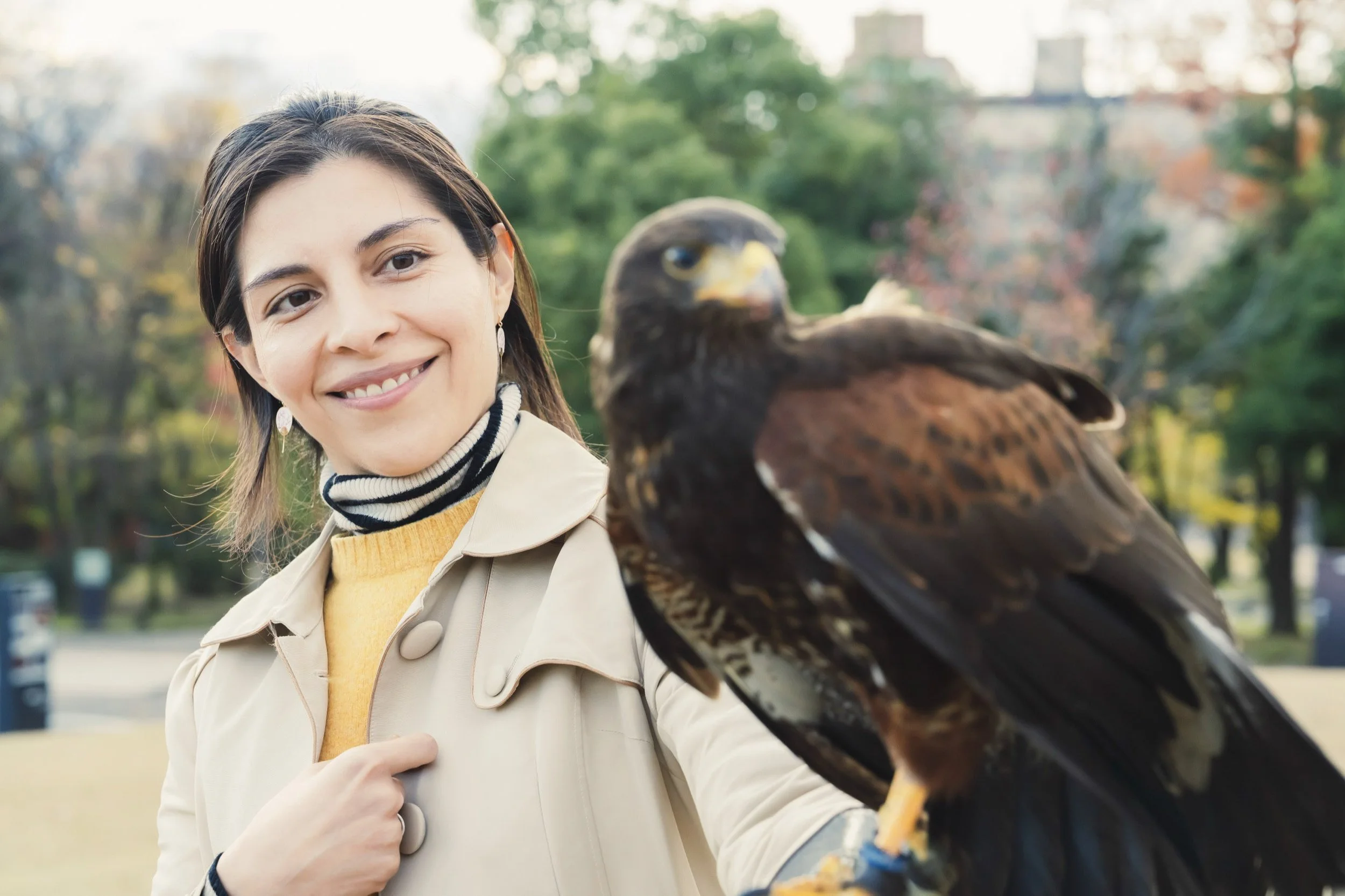 14-KANAZAWA_Falconry_Takamaru_2560px_141.jpg