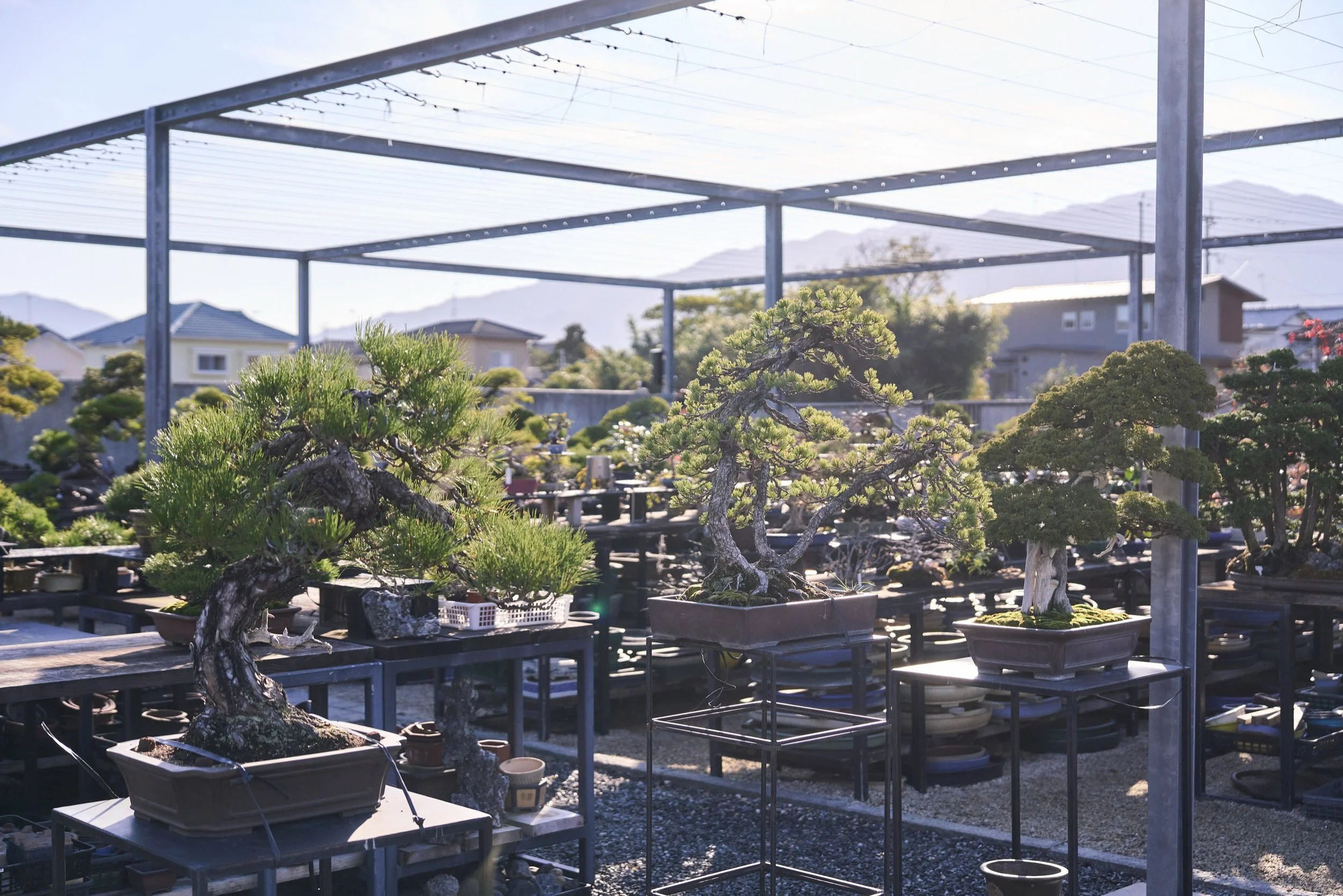 5-FUKUOKA_Bonsai_BonsaiSeihōan_2560px_028.jpg