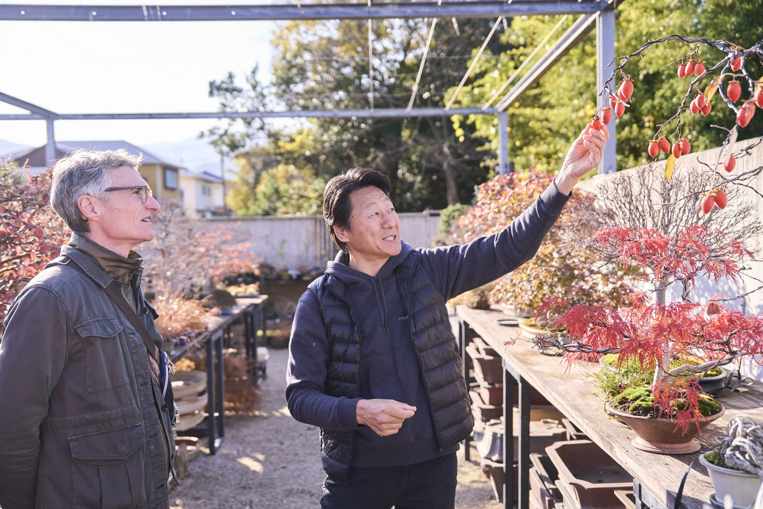 8-FUKUOKA_Bonsai_BonsaiSeihōan_2560px_046.jpg