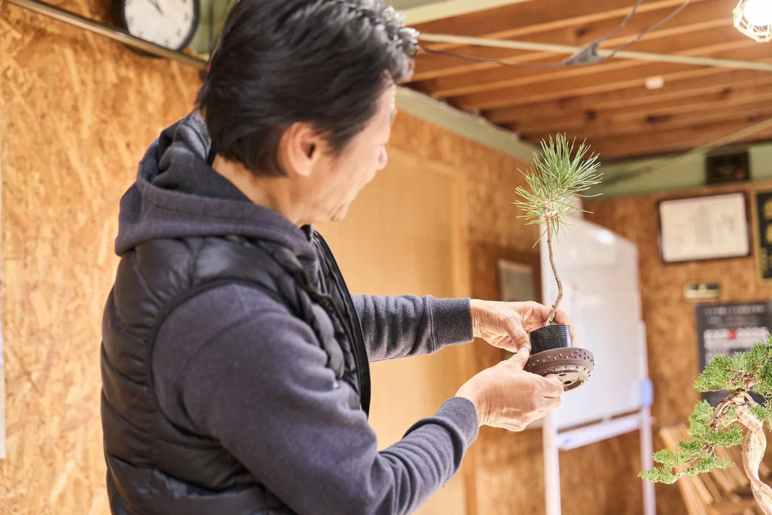 13-FUKUOKA_Bonsai_BonsaiSeihōan_2560px_093.jpg