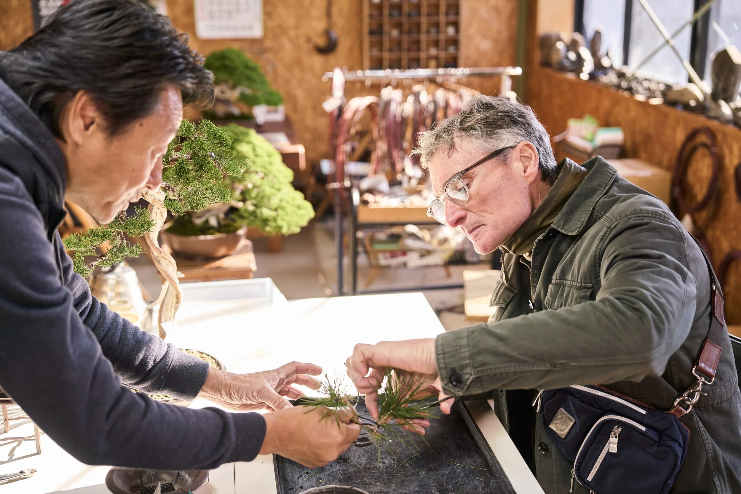 16-FUKUOKA_Bonsai_BonsaiSeihōan_2560px_104.jpg