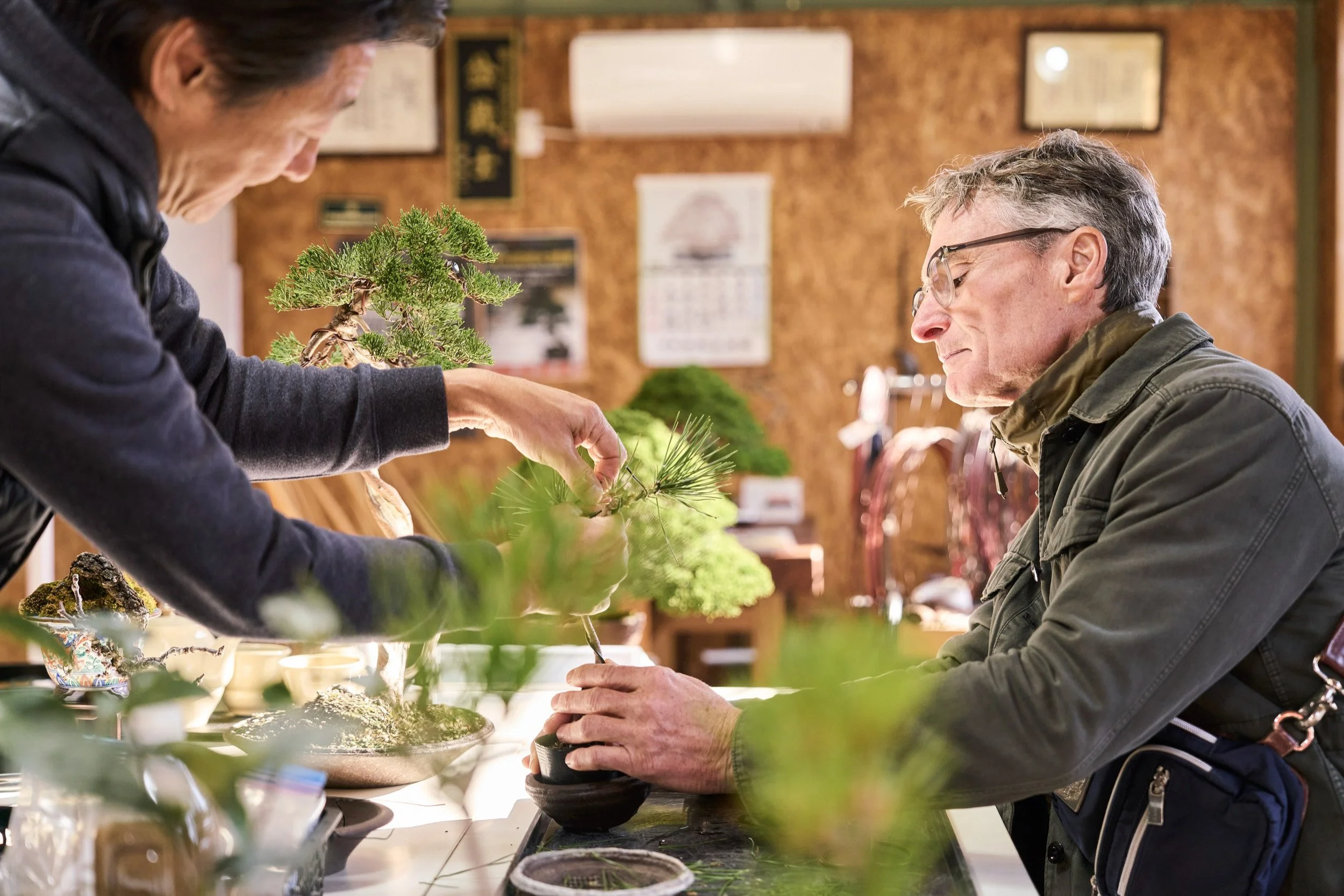 18-FUKUOKA_Bonsai_BonsaiSeihōan_2560px_118.jpg