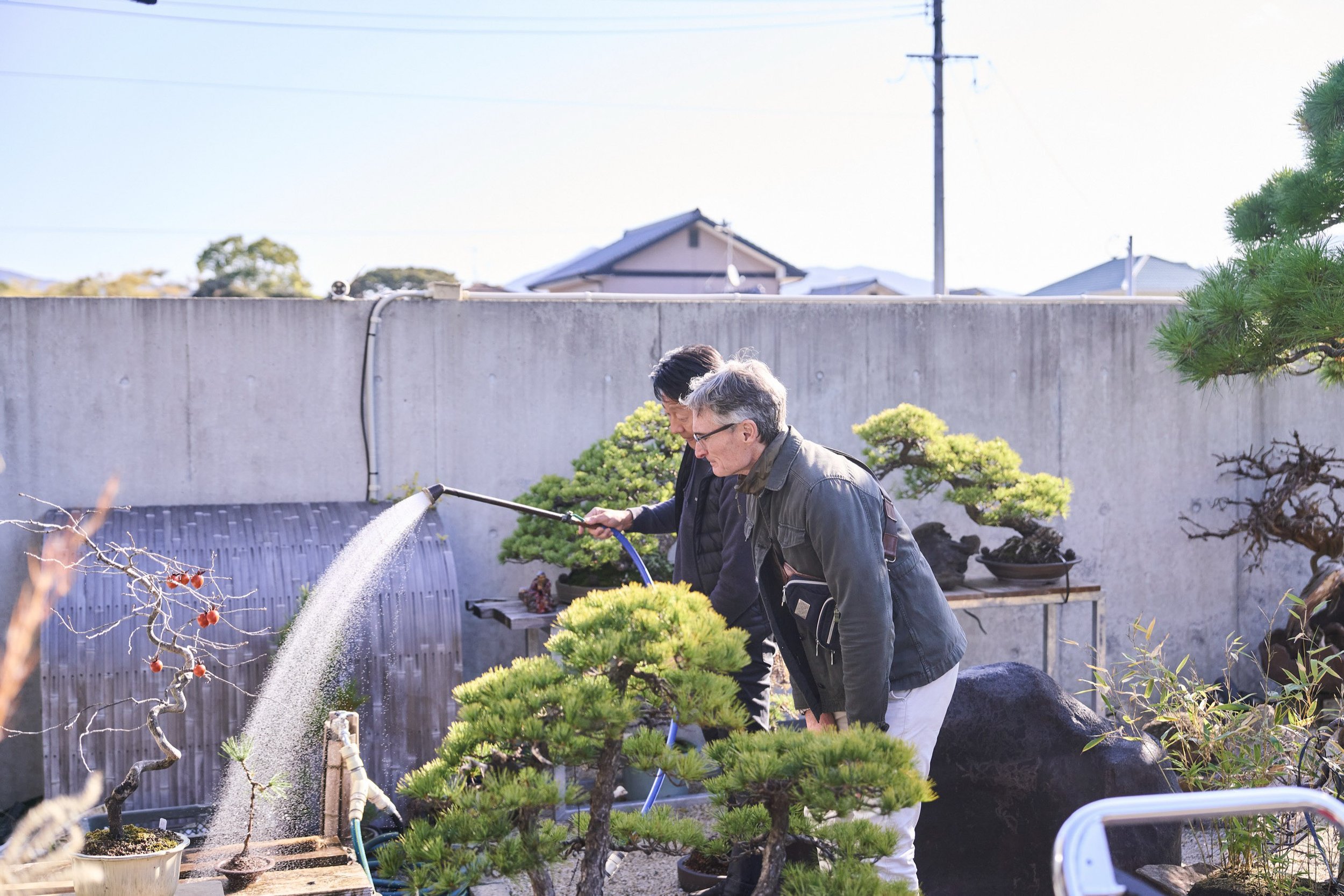 21-FUKUOKA_Bonsai_BonsaiSeihōan_2560px_138.jpg