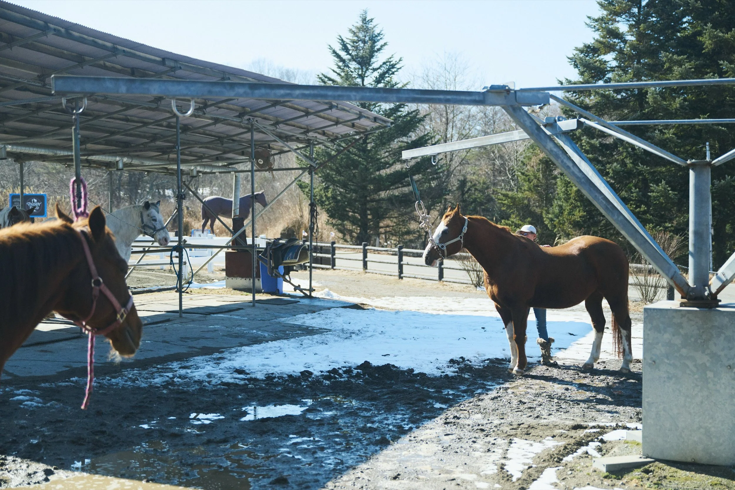 8-JP-19-ADVE-01_HorsebackRiding_Paddyfield_2560px_037.jpg