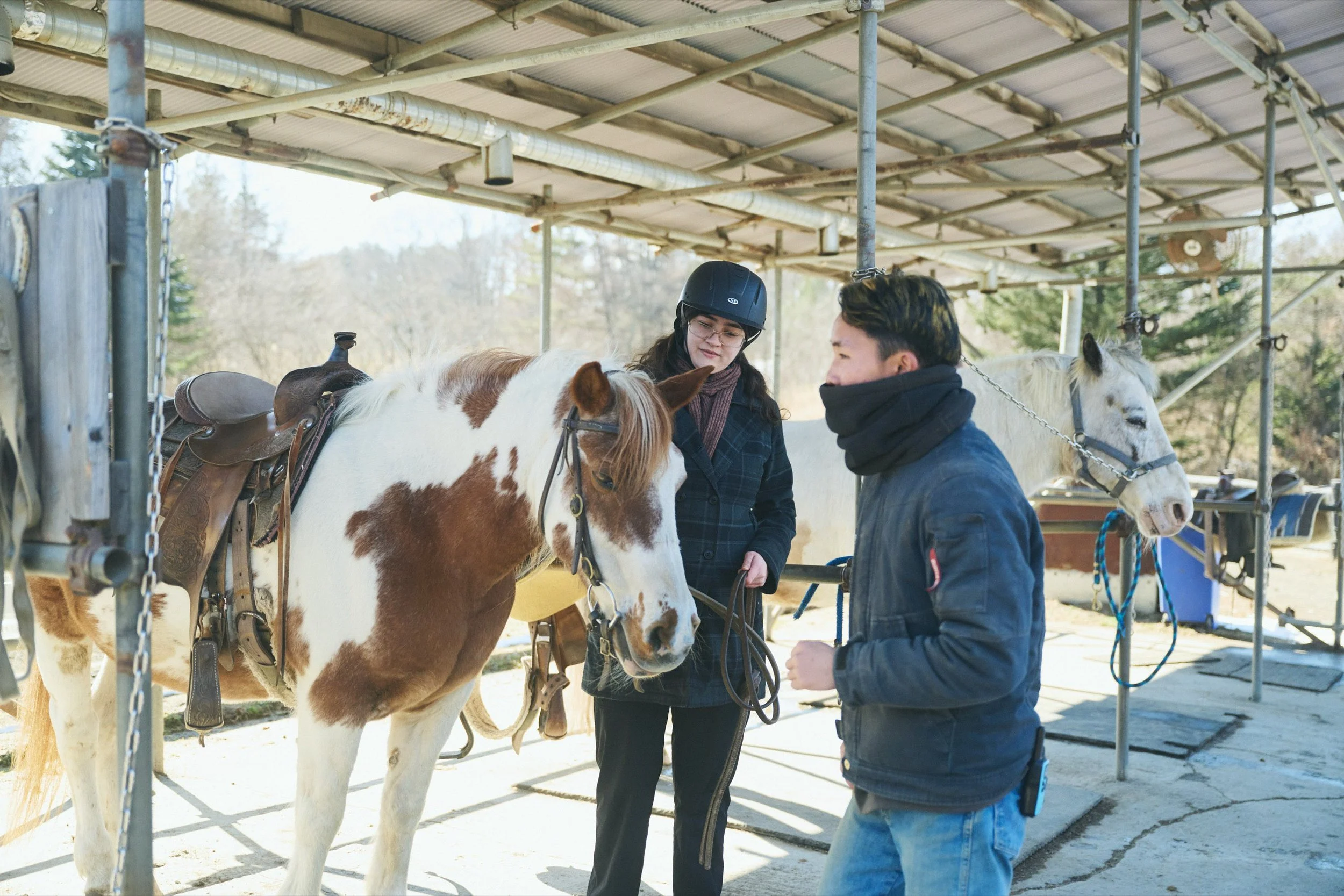 9-JP-19-ADVE-01_HorsebackRiding_Paddyfield_2560px_041.jpg