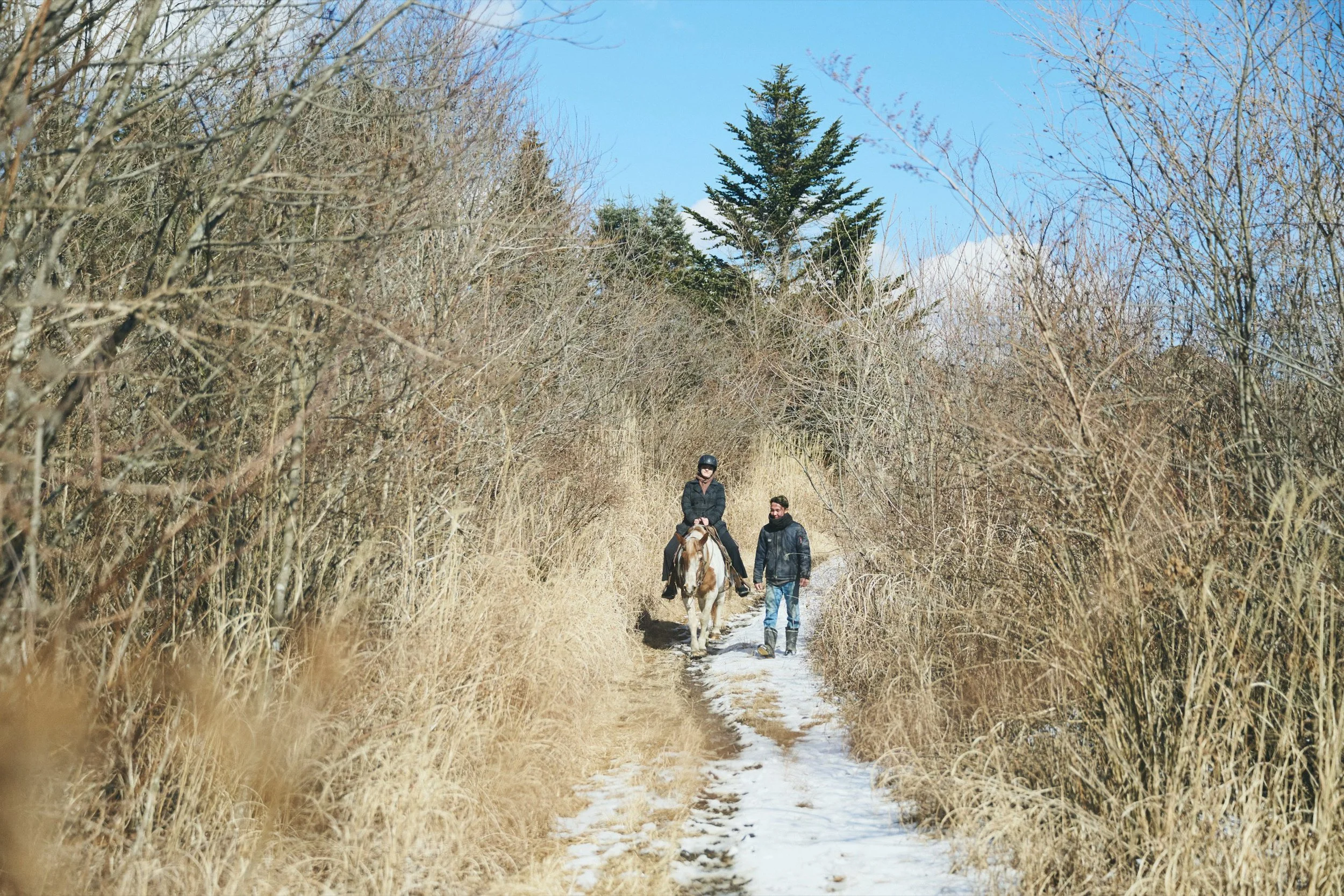 17-JP-19-ADVE-01_HorsebackRiding_Paddyfield_2560px_091.jpg