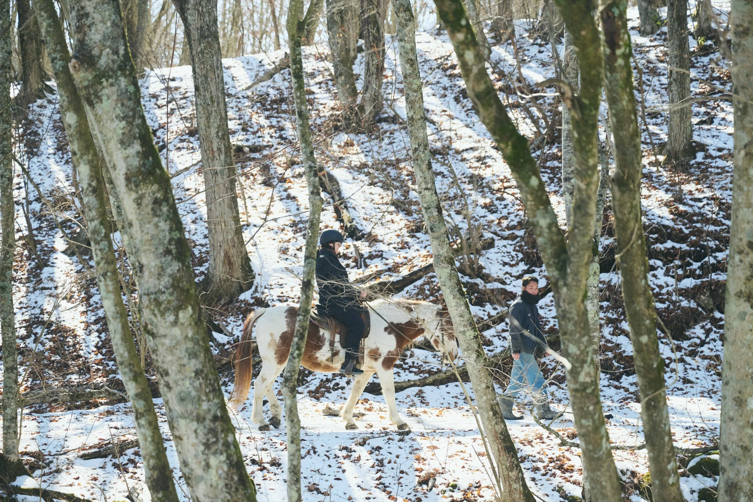 18-JP-19-ADVE-01_HorsebackRiding_Paddyfield_2560px_099.jpg