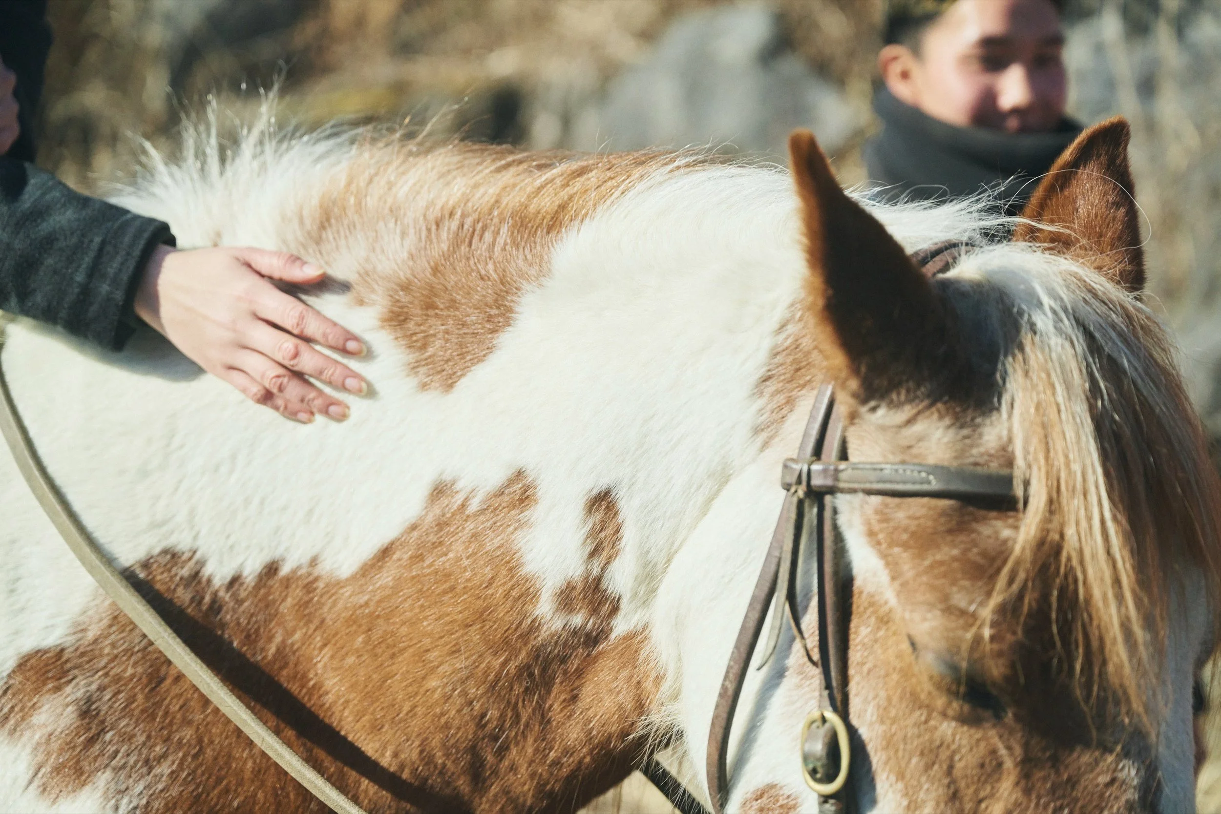 26-JP-19-ADVE-01_HorsebackRiding_Paddyfield_2560px_211.jpg