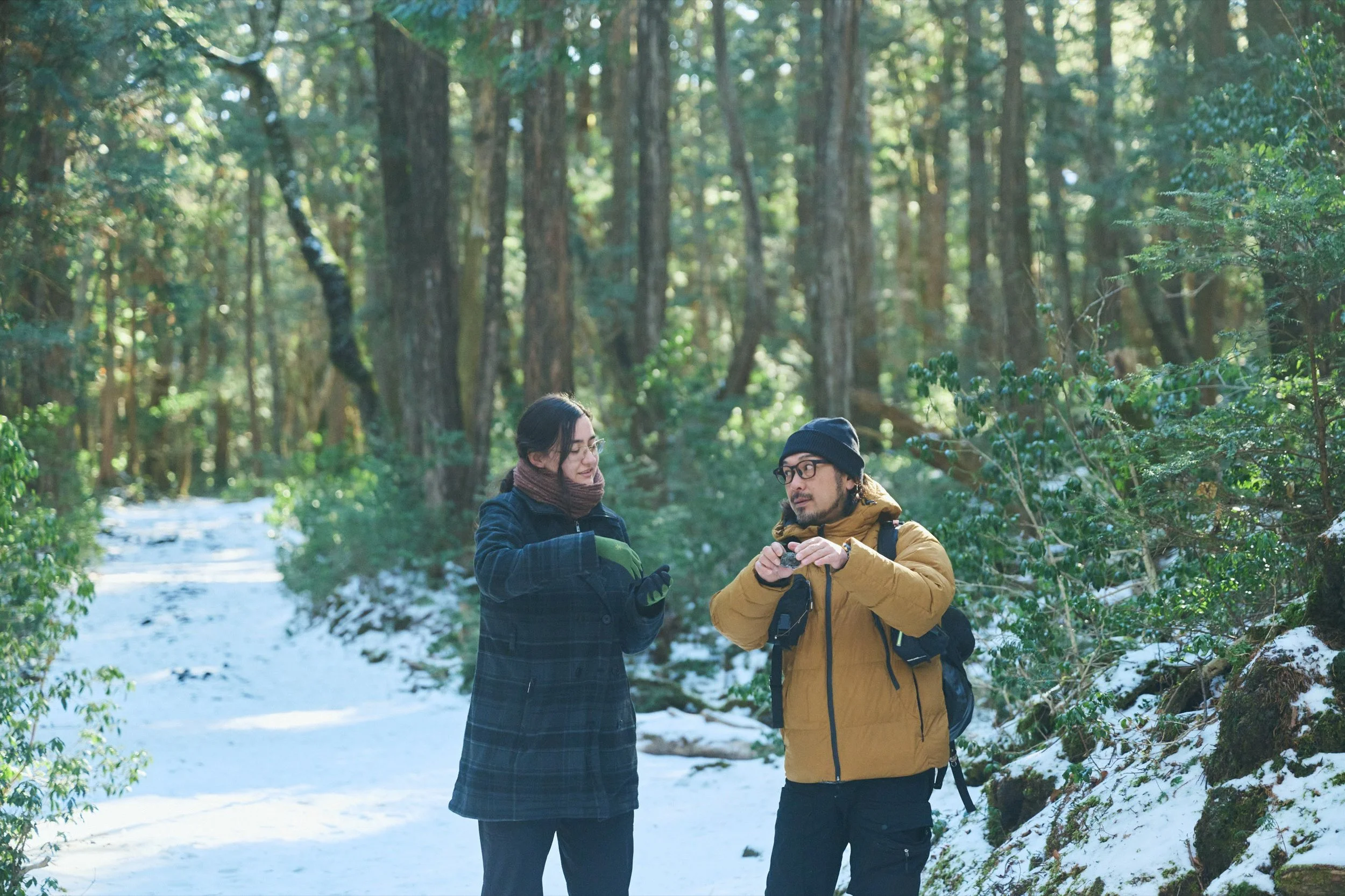 6-JP-19-HIKE-01_AokigaharaForestTour_FujiHat_2560px_057.jpg