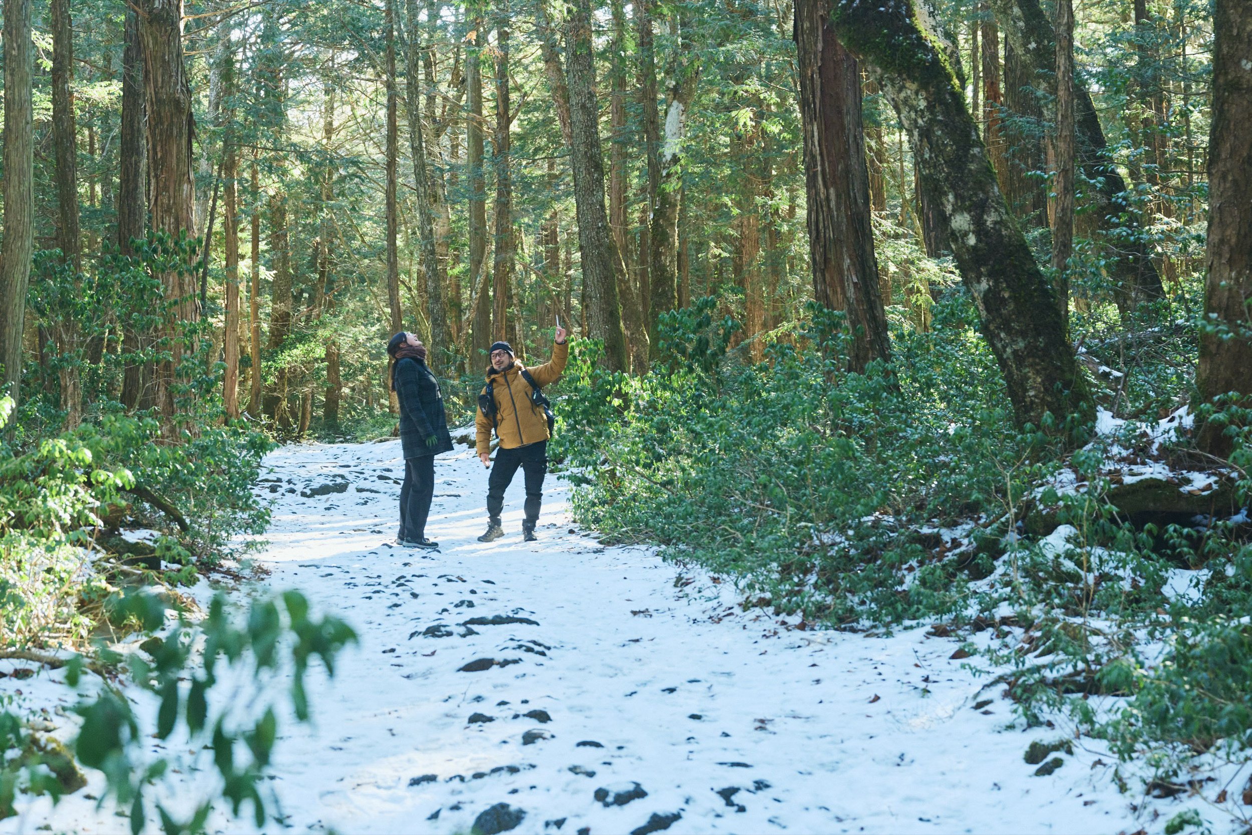 11-JP-19-HIKE-01_AokigaharaForestTour_FujiHat_2560px_089.jpg