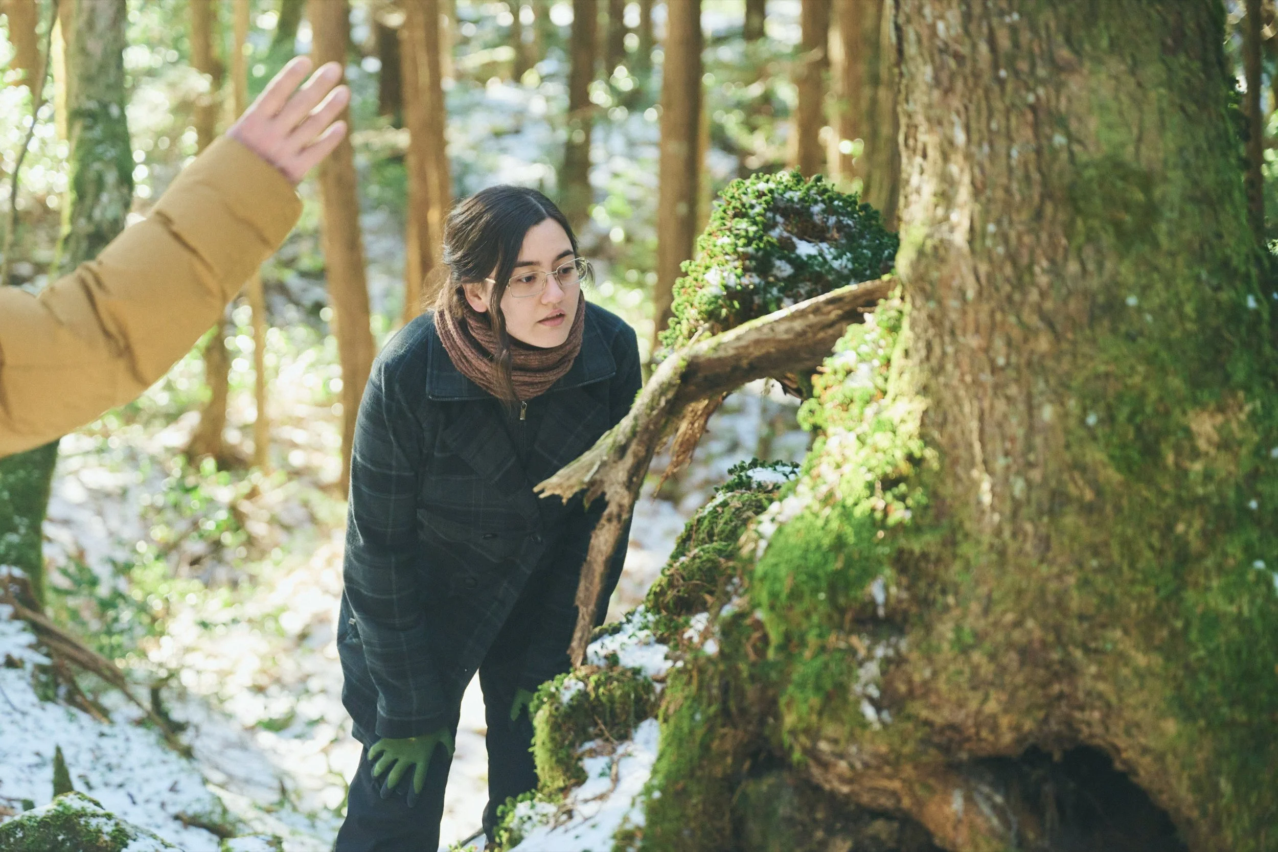14-JP-19-HIKE-01_AokigaharaForestTour_FujiHat_2560px_125.jpg