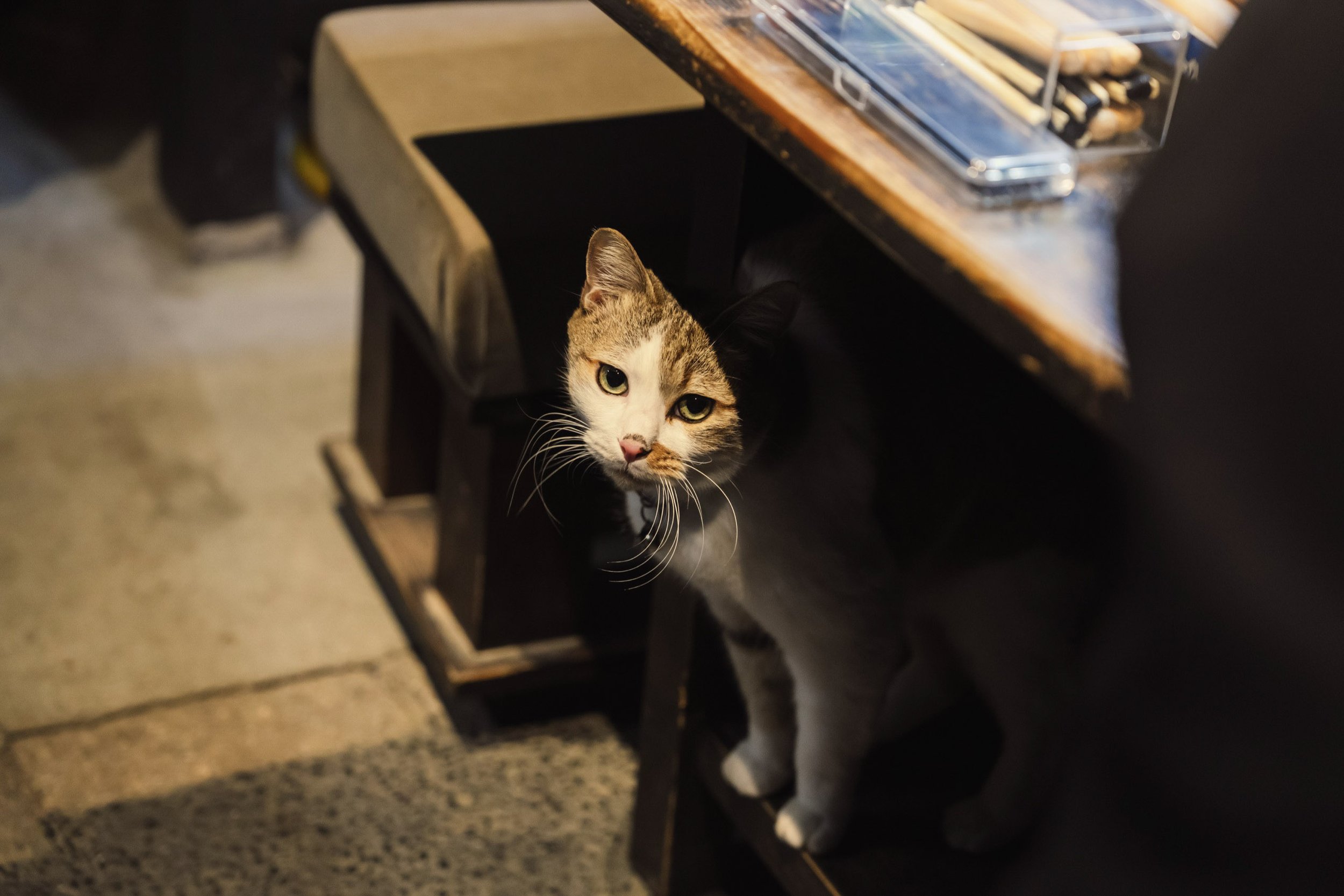 7-KYOTO_Kintsugi_TsukuroiNoUtsuwa_2560px_019.jpg