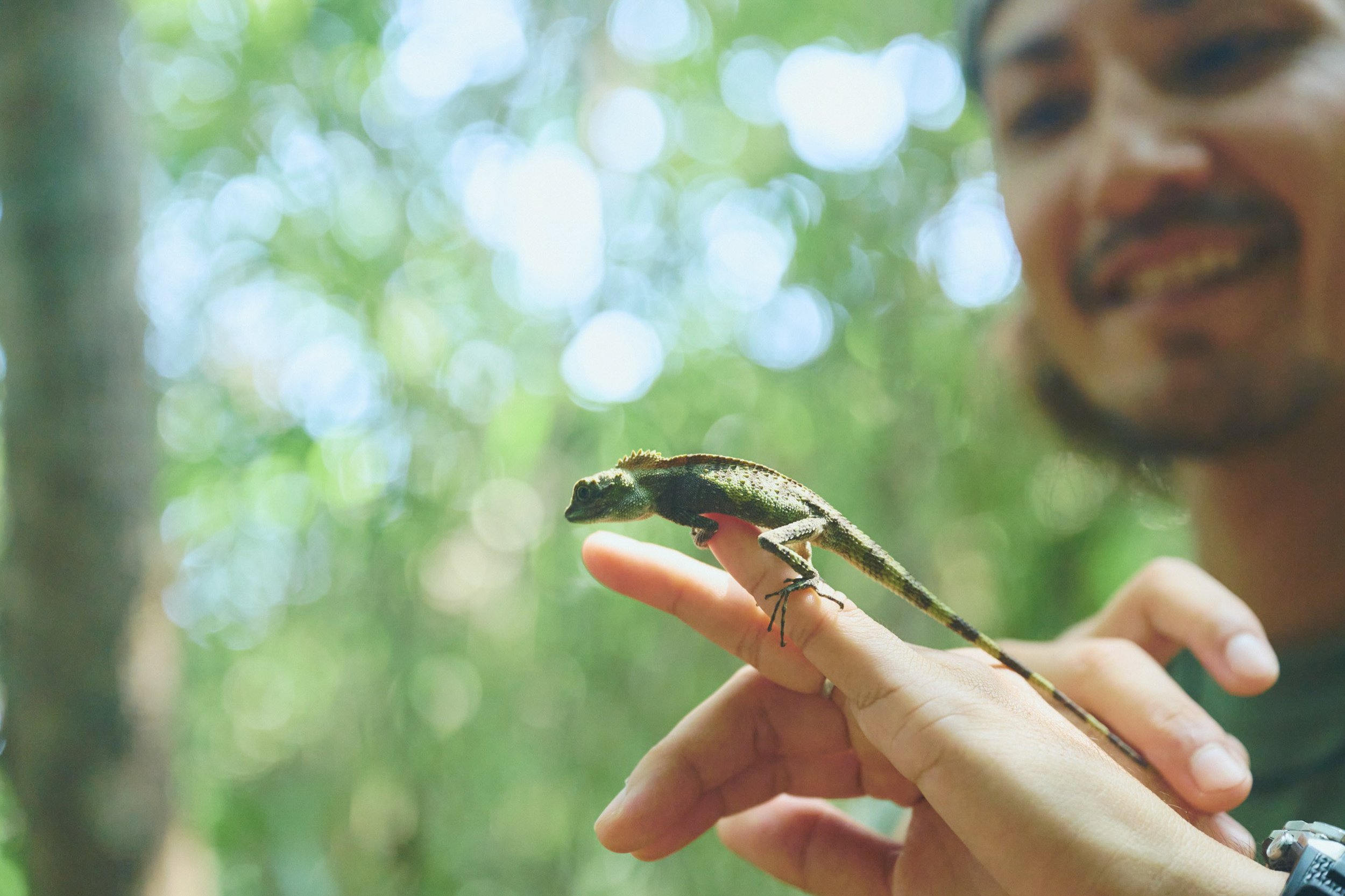 2-JP-47-ADVE-02_OKINAWA_YanbaruGuidedNatureTrek_2560px_246.jpg