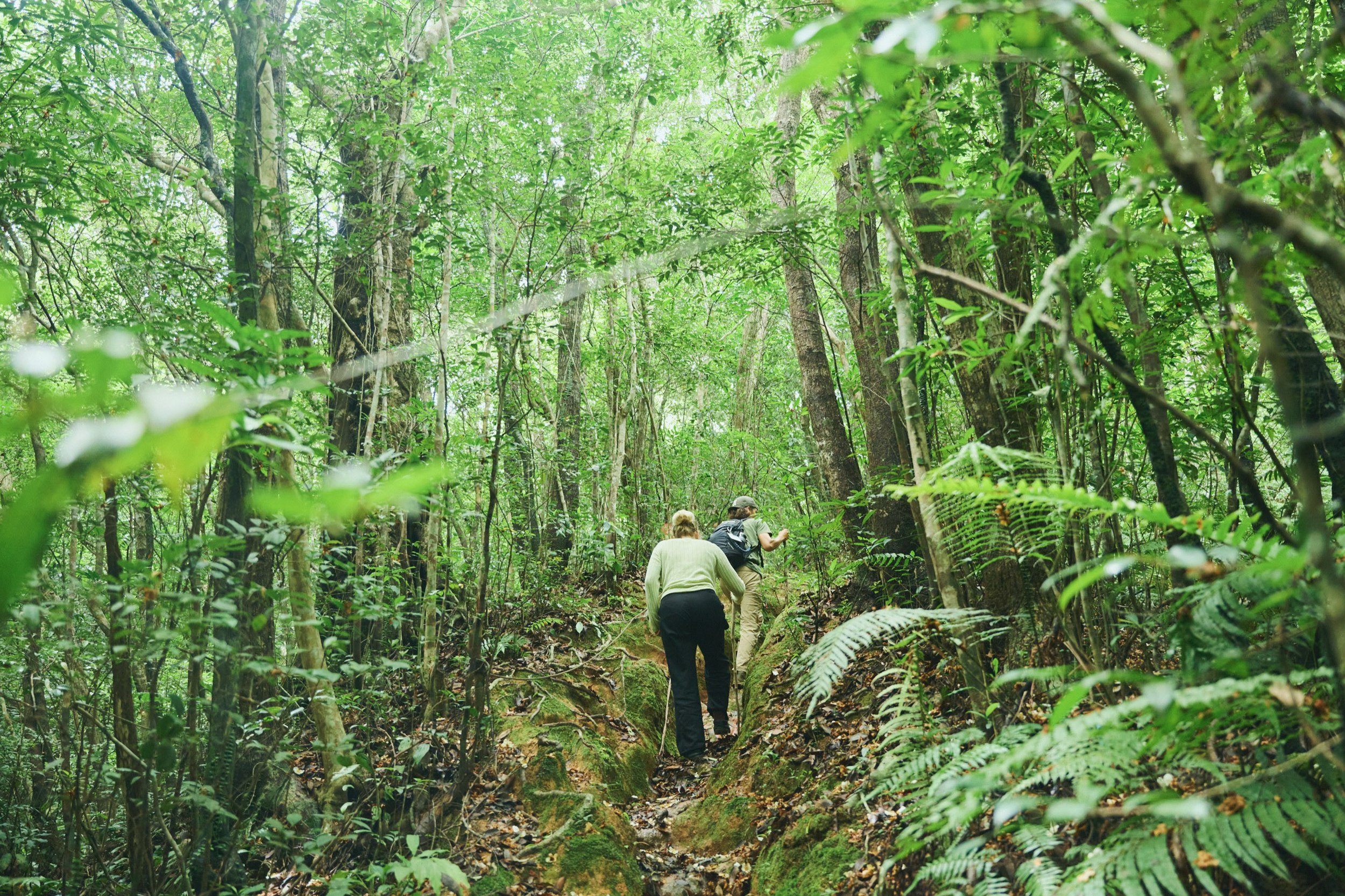 12-JP-47-ADVE-02_OKINAWA_YanbaruGuidedNatureTrek_2560px_205.jpg
