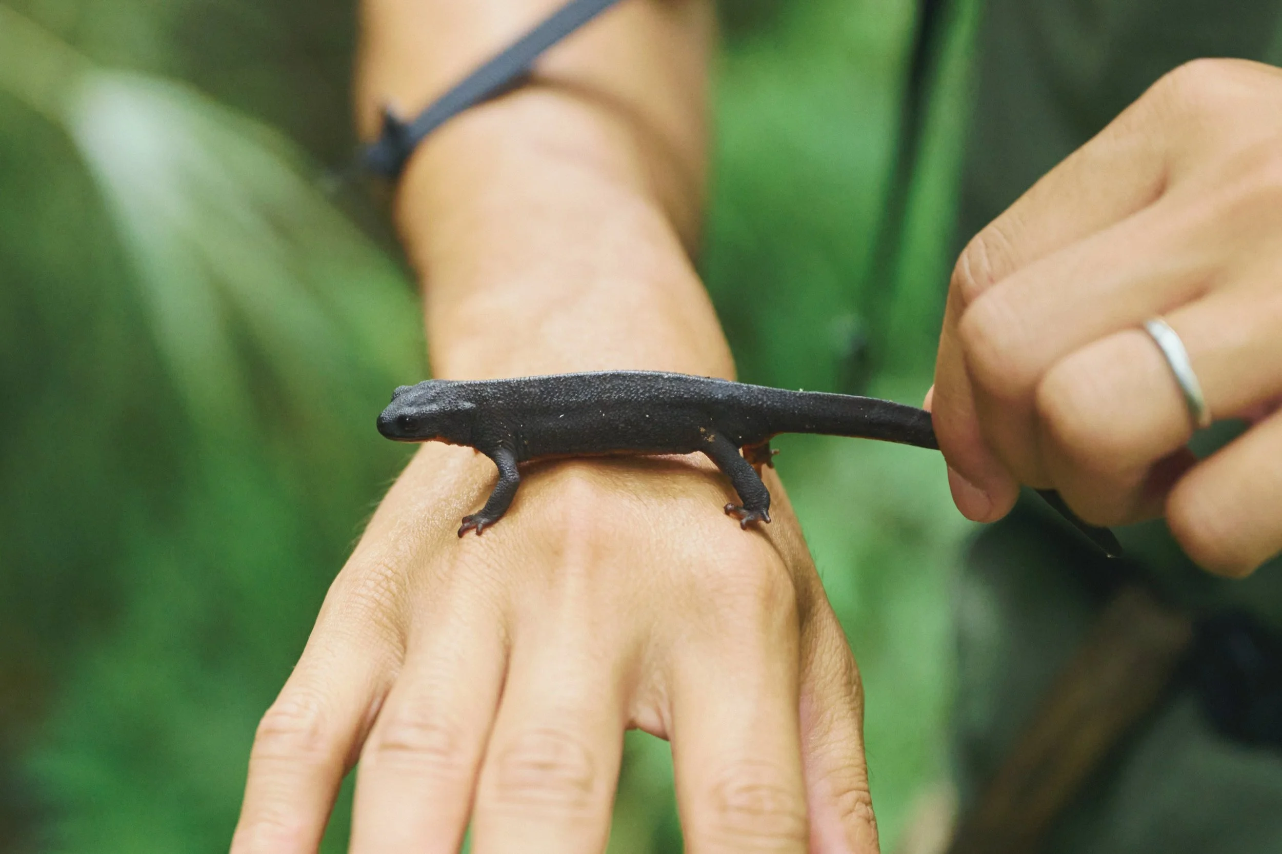 20-JP-47-ADVE-02_OKINAWA_YanbaruGuidedNatureTrek_2560px_153.jpg