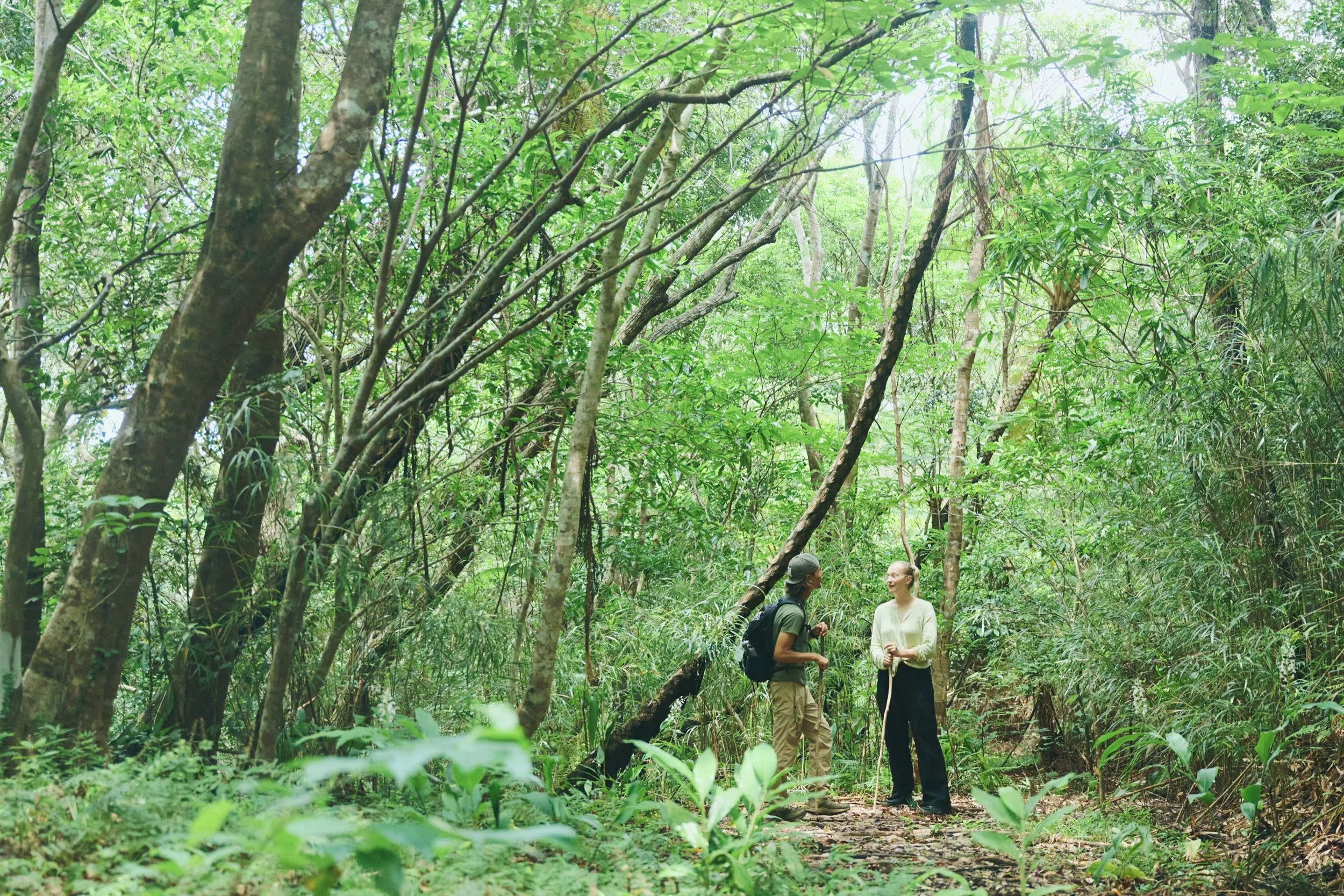 25-JP-47-ADVE-02_OKINAWA_YanbaruGuidedNatureTrek_2560px_104.jpg