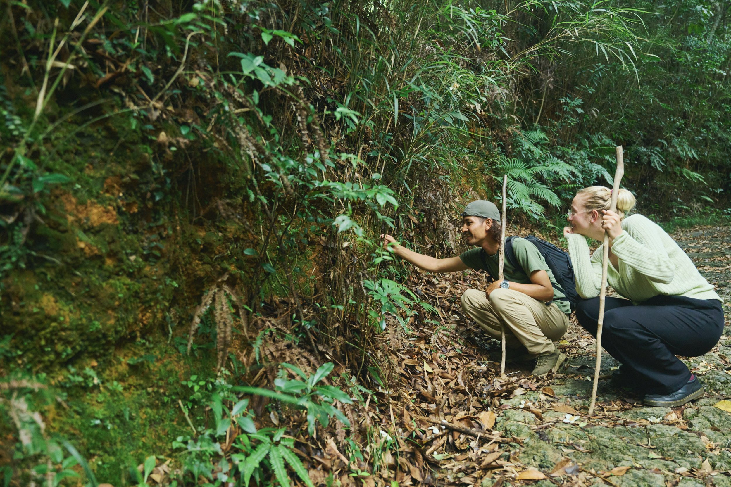 32-JP-47-ADVE-02_OKINAWA_YanbaruGuidedNatureTrek_2560px_027.jpg