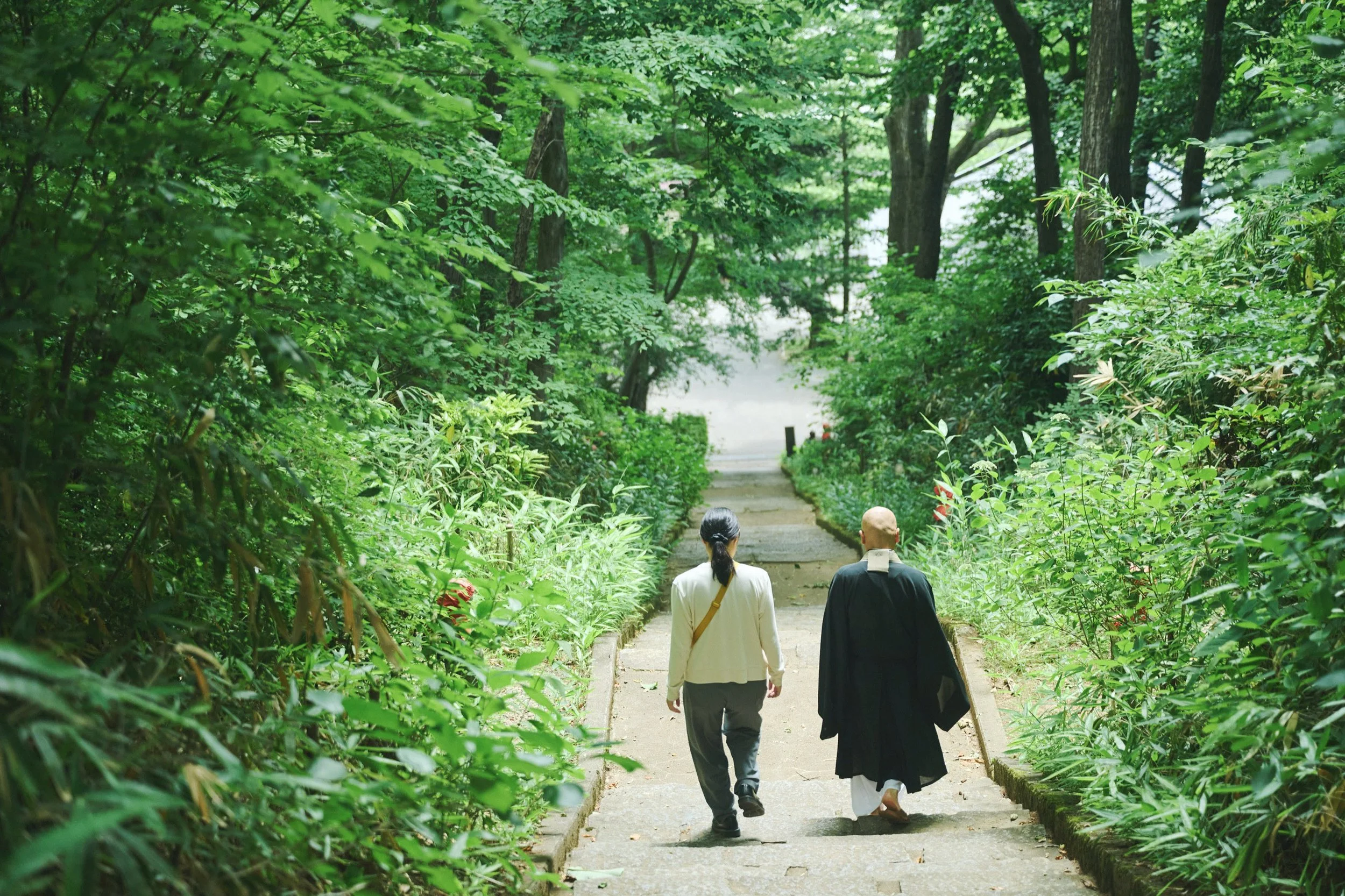 24-JP-03-ZAZN-01_MORIOKA_ZazenMeditation_2560px_169.jpg