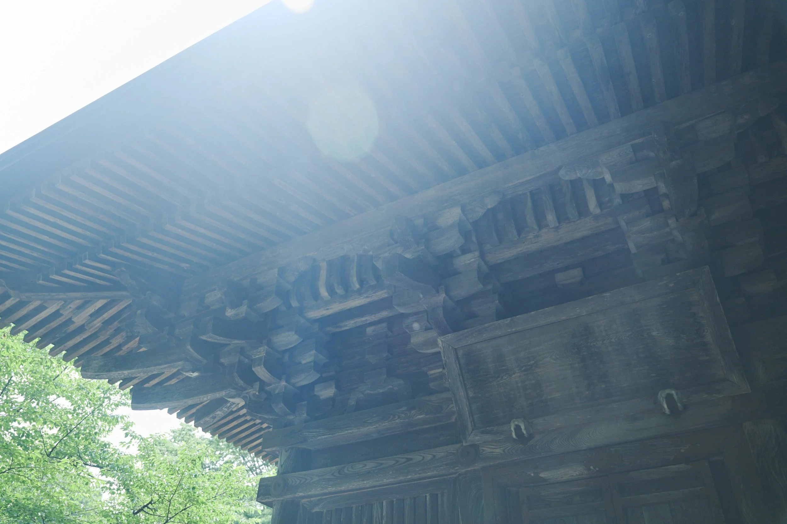 28-JP-03-ZAZN-01_MORIOKA_ZazenMeditation_2560px_189.jpg