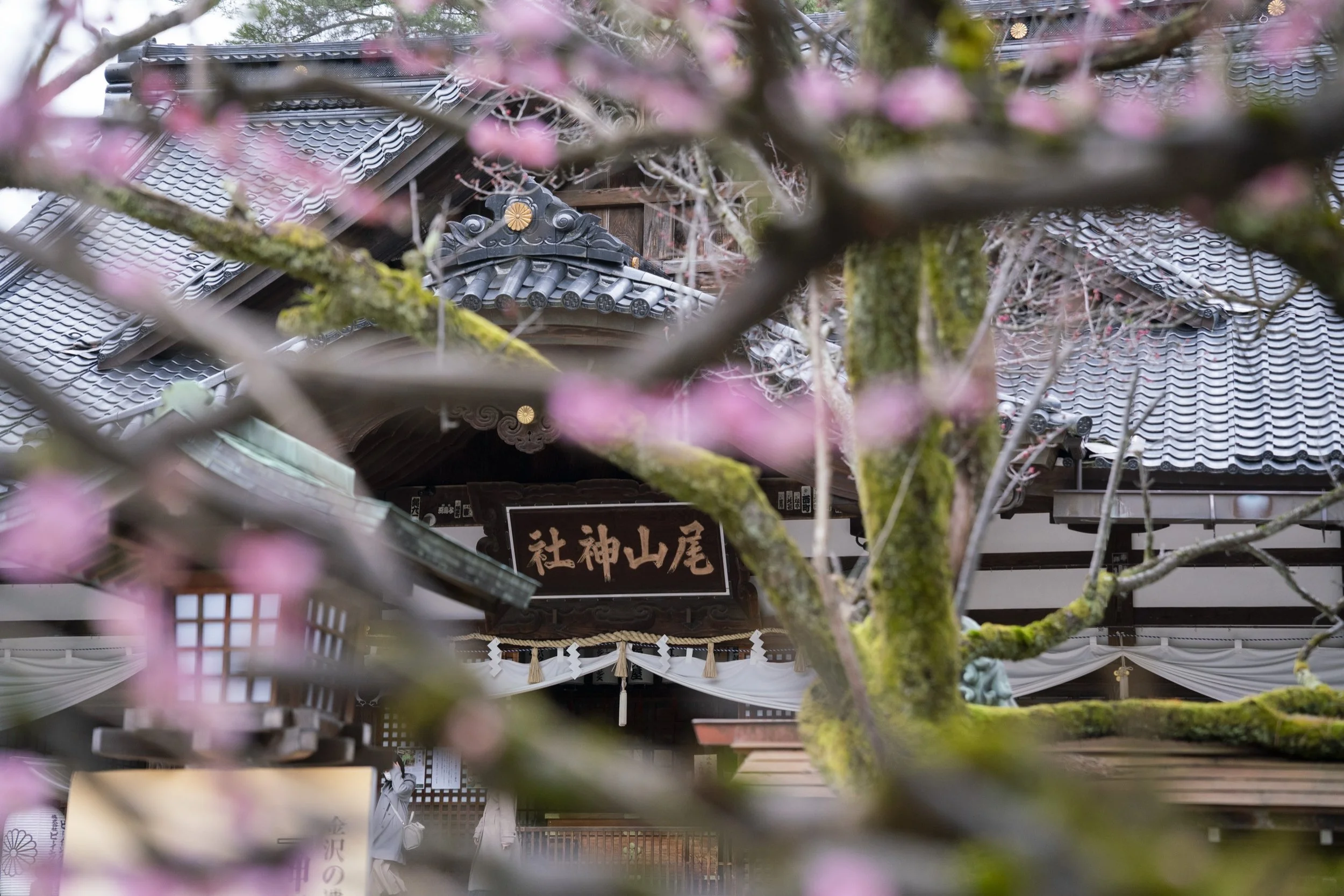 7-KANAZAWA_ShrineTour_尾山神社_2560px_037.jpg