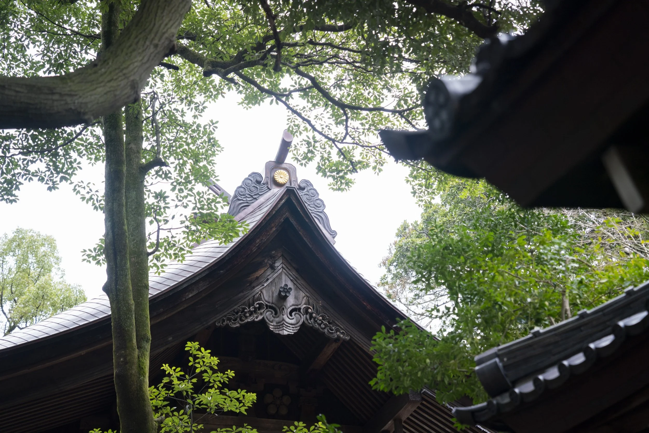 29-KANAZAWA_ShrineTour_尾山神社_2560px_171.jpg