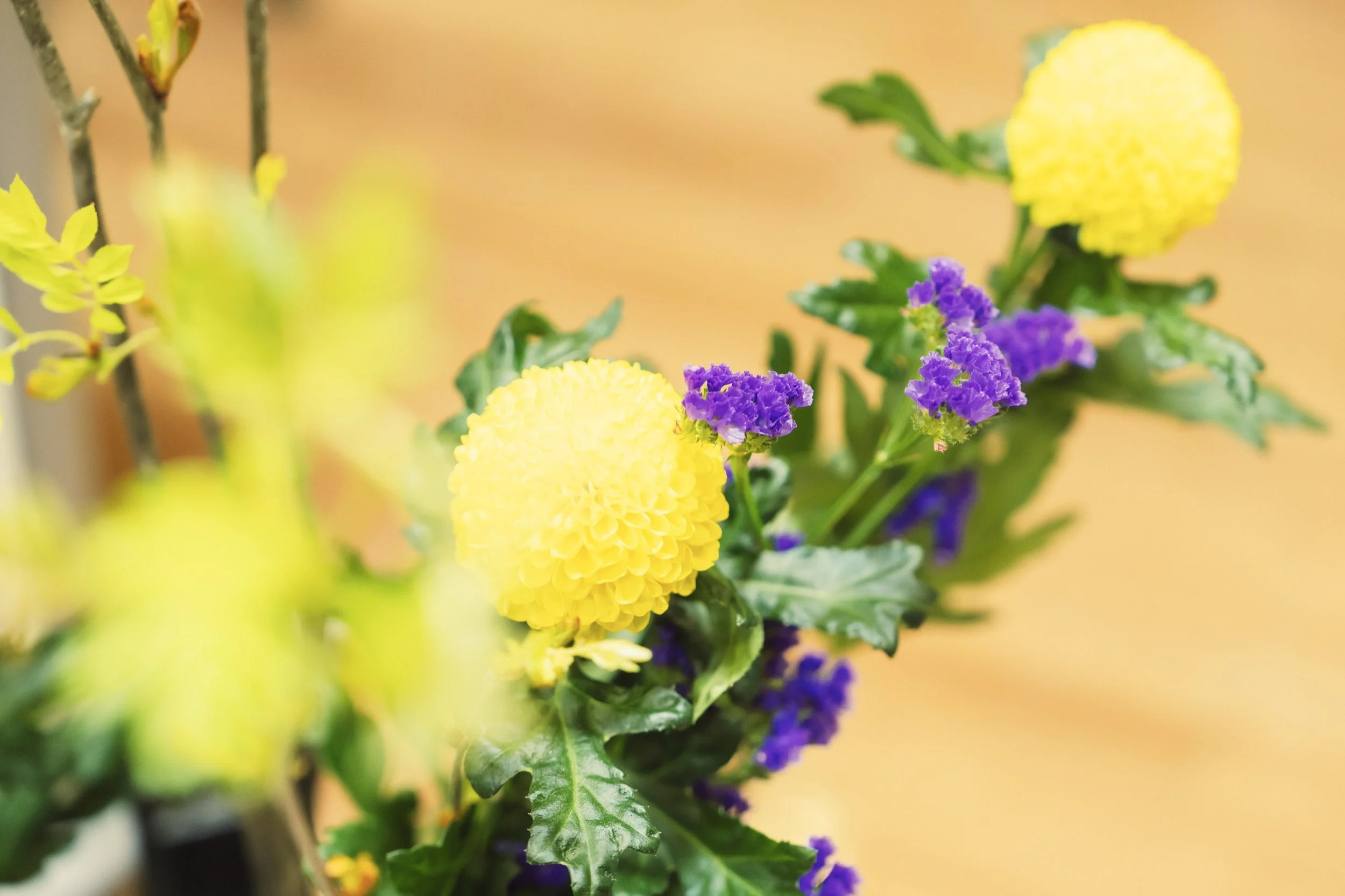 6-JP-13-IKBN-01_ikebana_龍生華道会_2560px_033.jpg