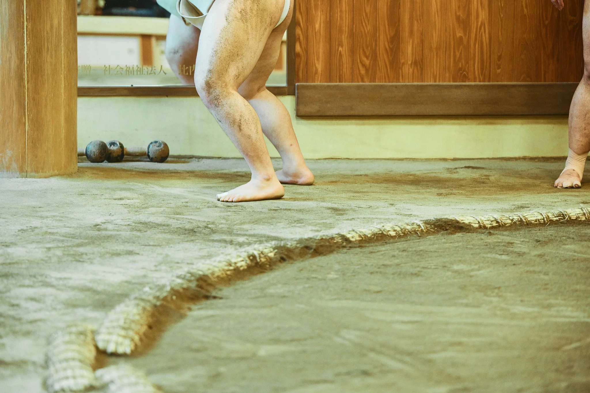 Tokyo_Oshiogawa_sumo_148.jpg