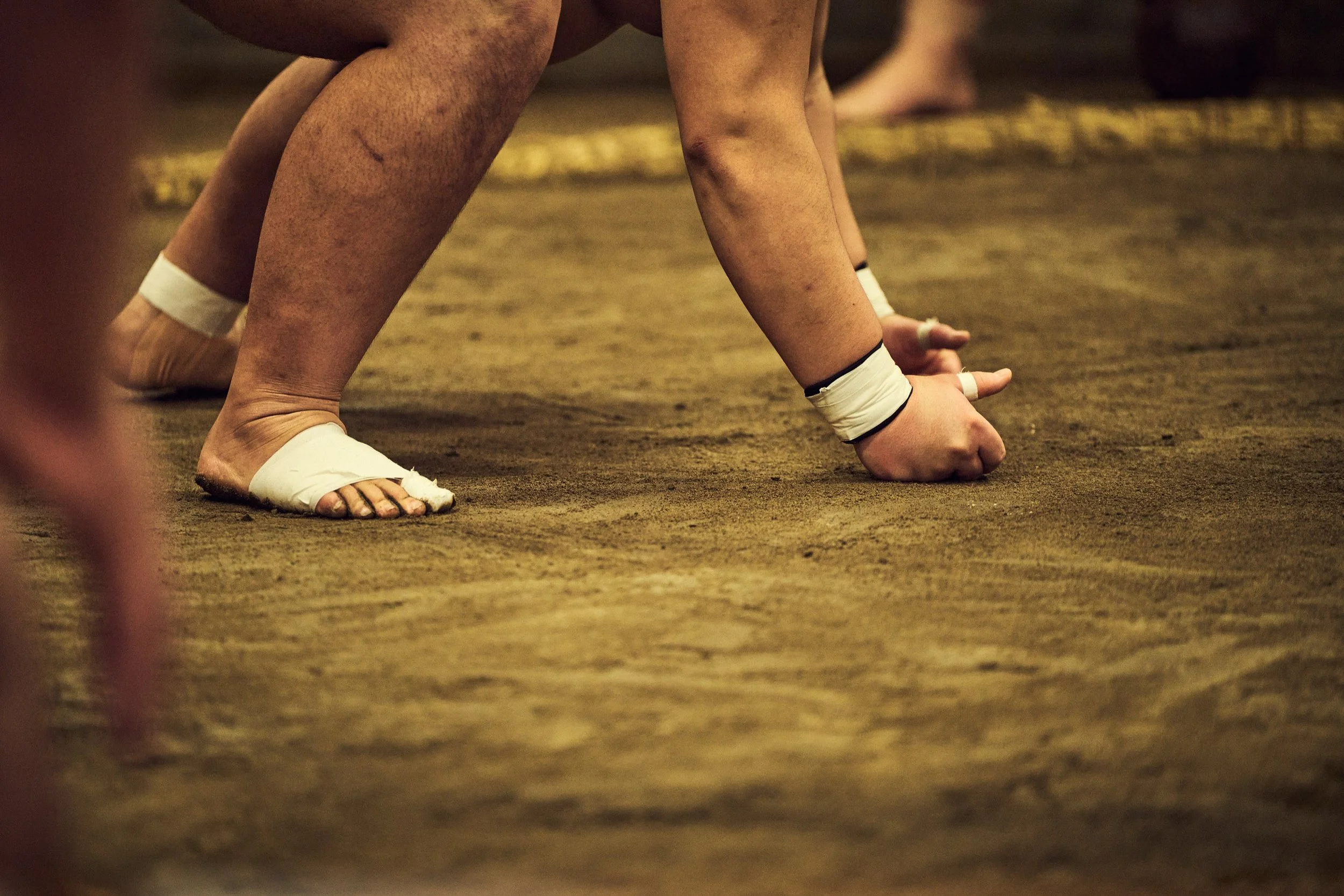 11-Tokyo_Sumo_Ajigawa_137.jpg