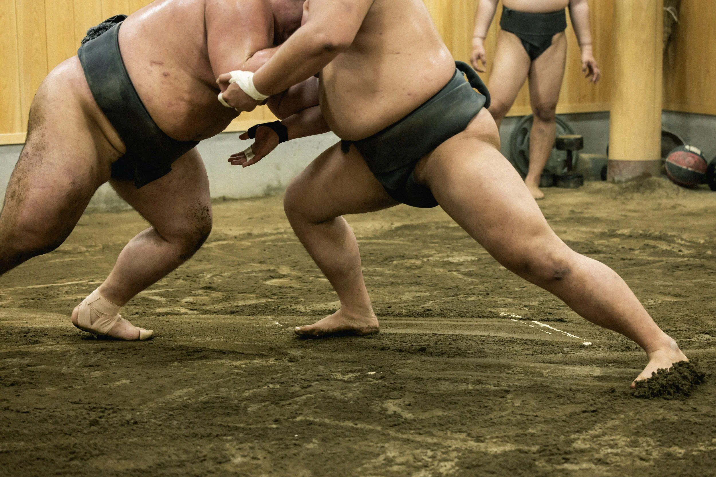 5-Tokyo_Sumo_Ajigawa_076.jpg