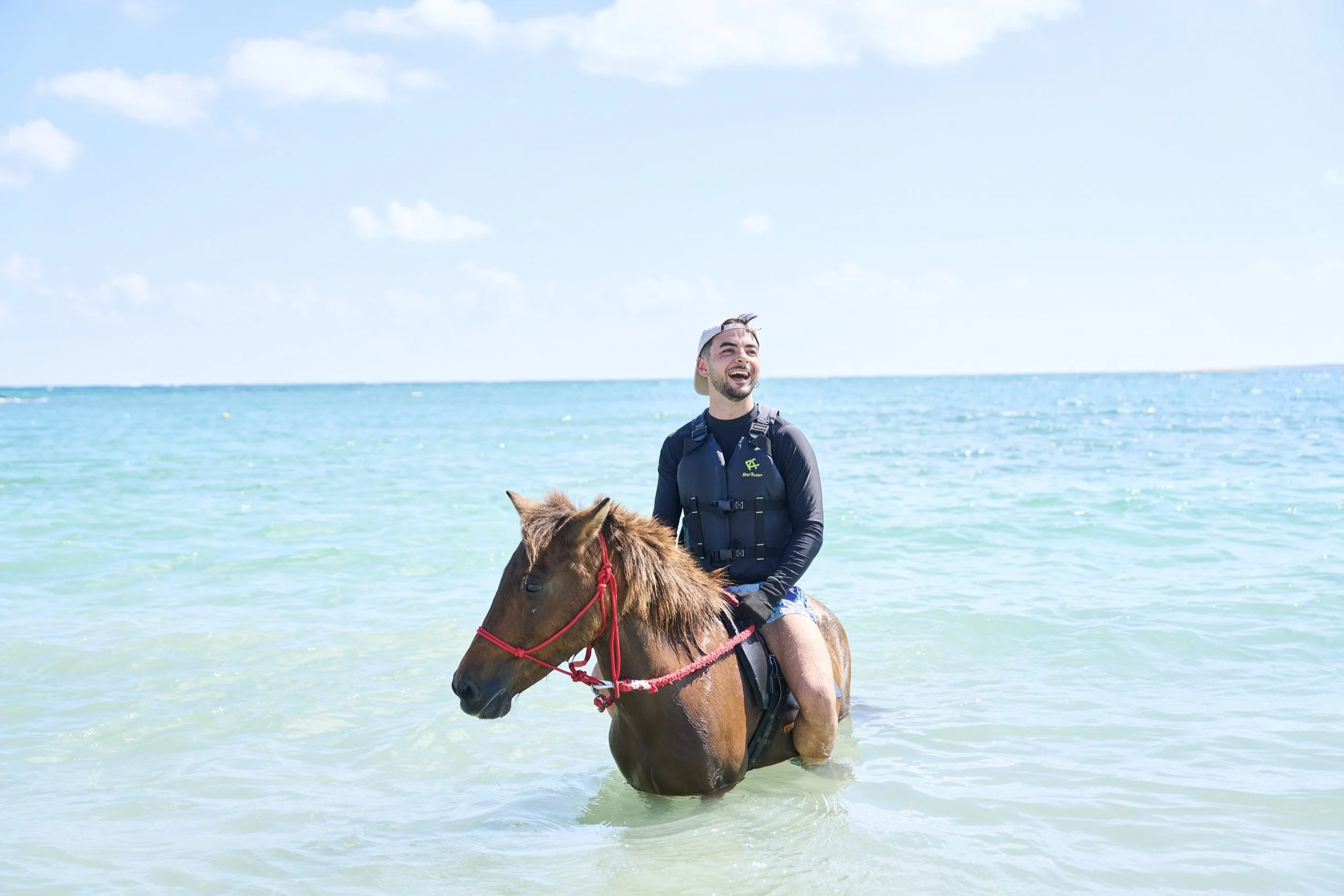 Yonaguni Horse Sanctuary