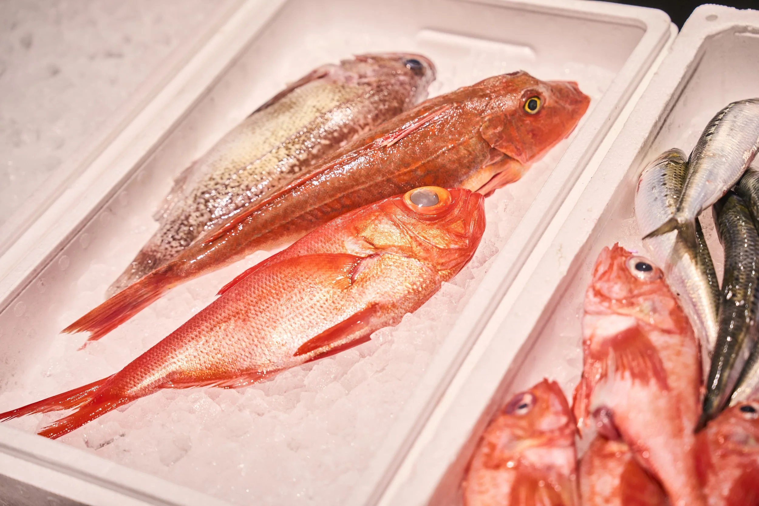 1-Niigata_Fishmarket Tour_028.jpg