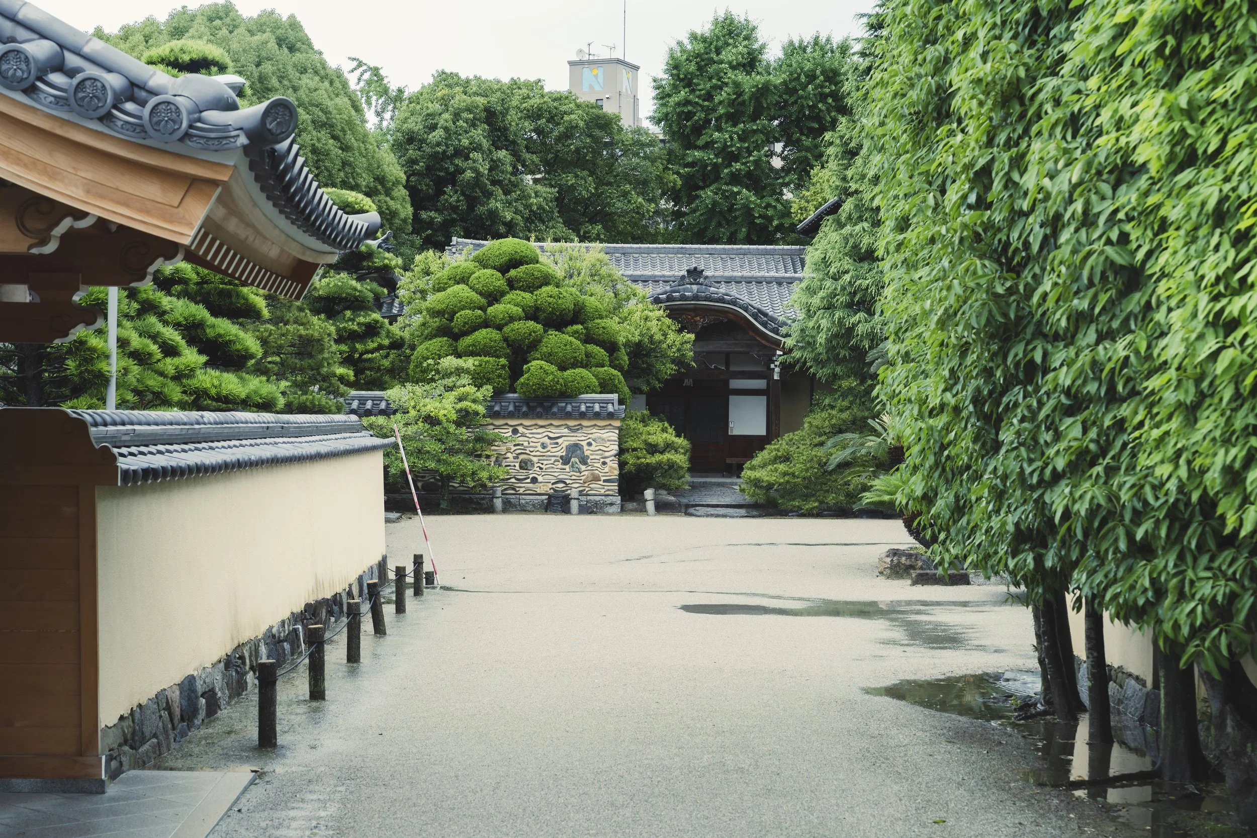 1-Fukuoka_Rinzai Zazen Meditation_001.jpg