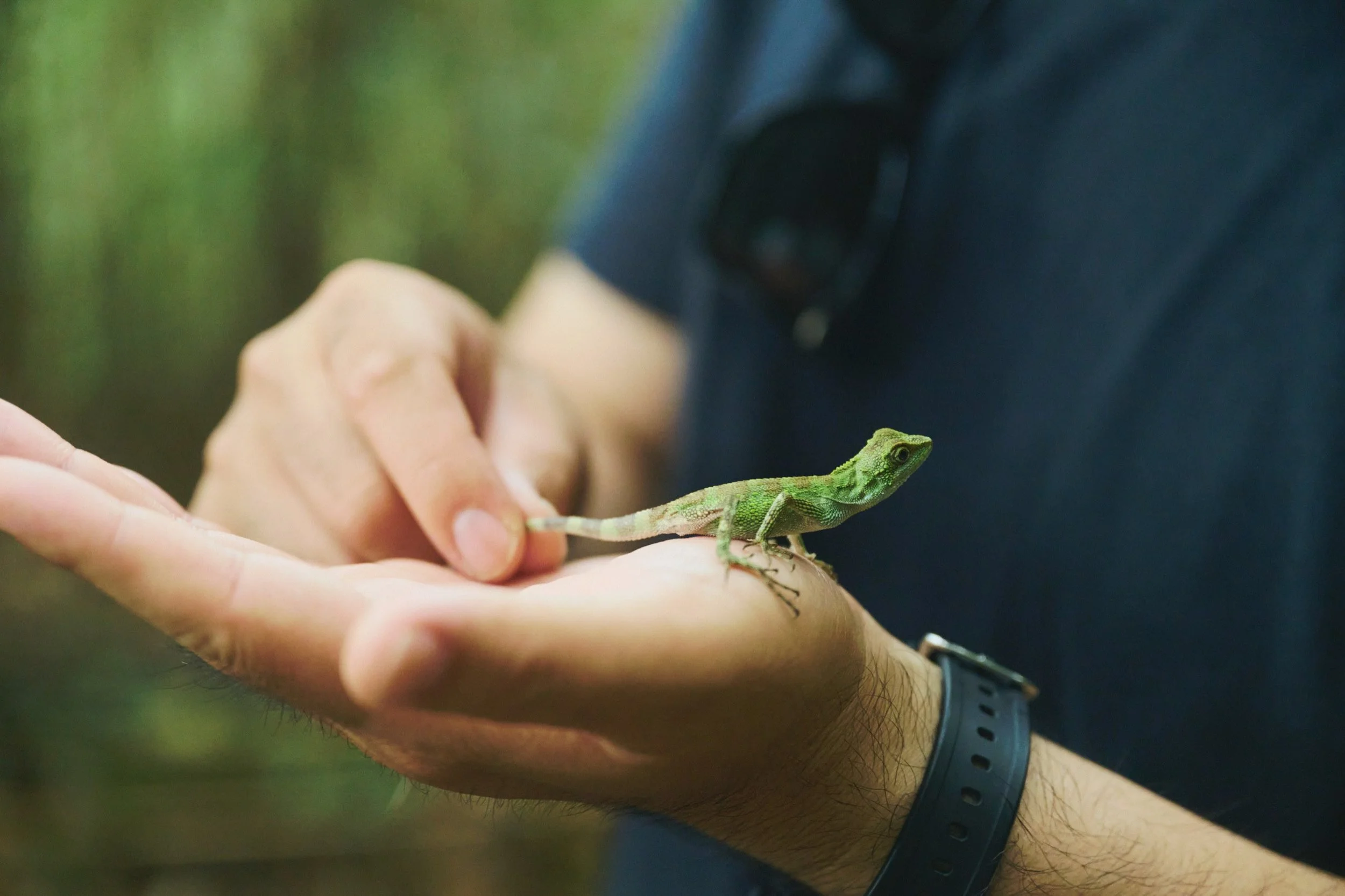 26-JP-47-ADVE-02_OKINAWA_YanbaruGuidedNatureTrek_2560px_091.jpg