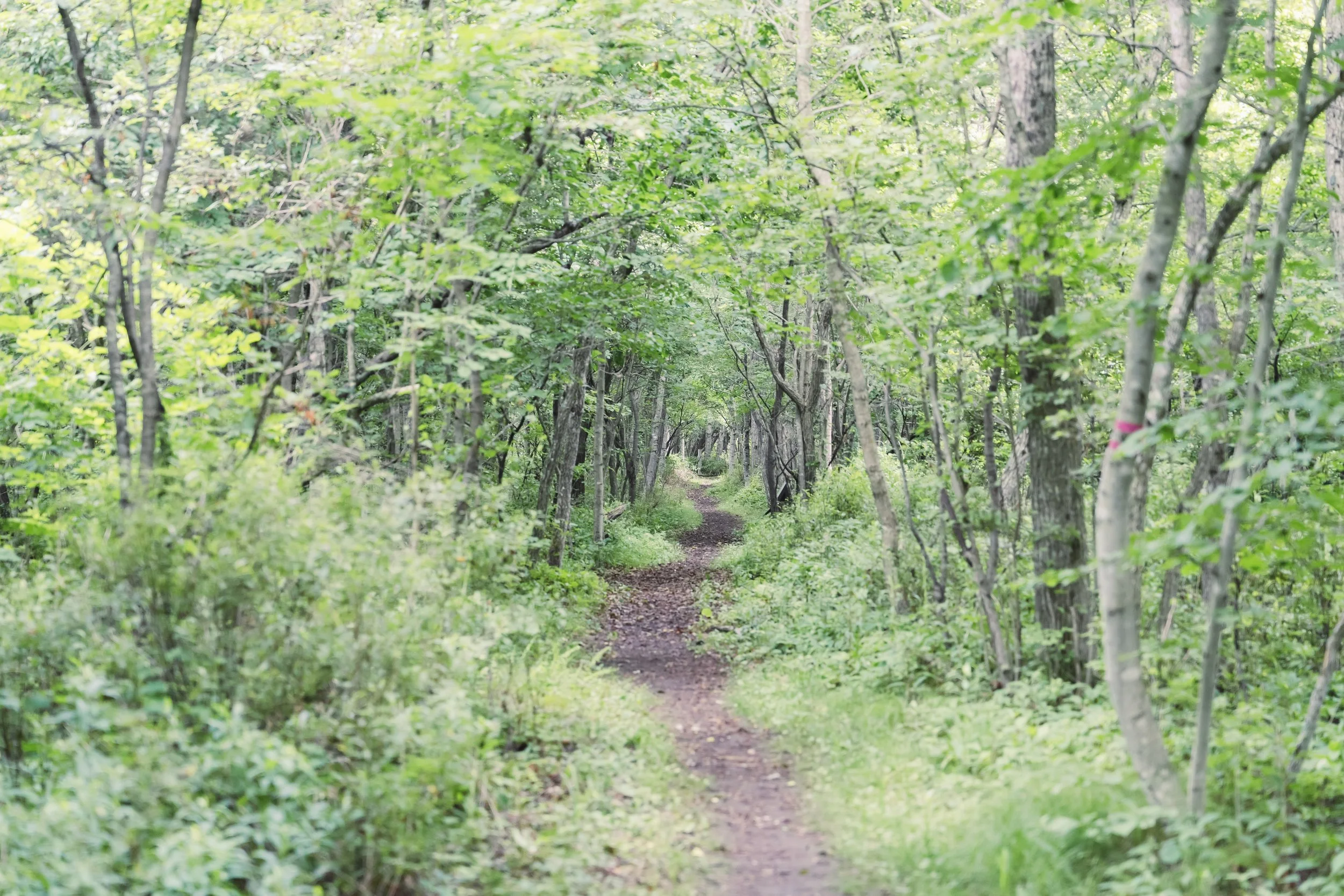 5-Sapporo_Nature Guide Utonai_007.jpg