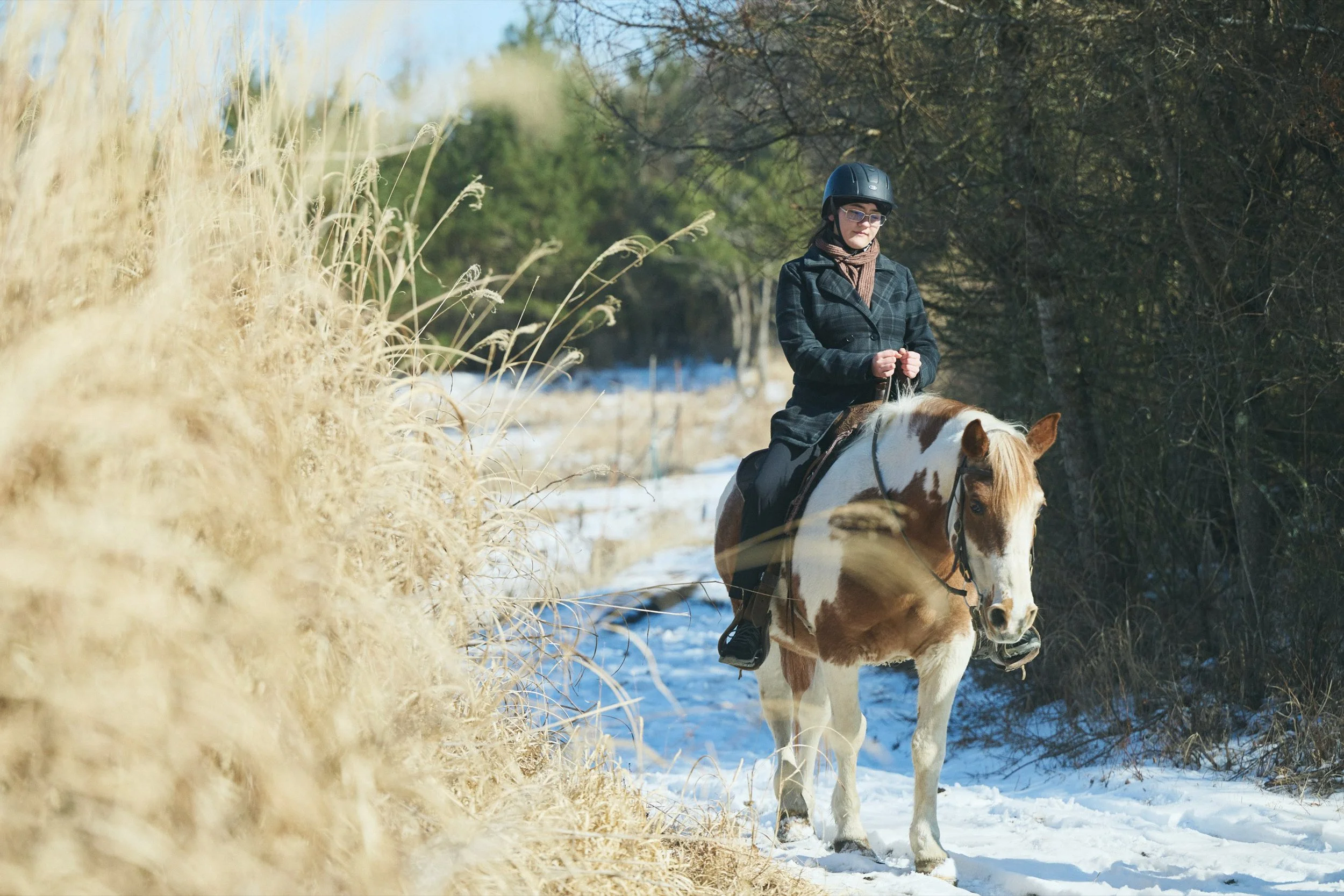 21-JP-19-ADVE-01_HorsebackRiding_Paddyfield_2560px_121.jpg