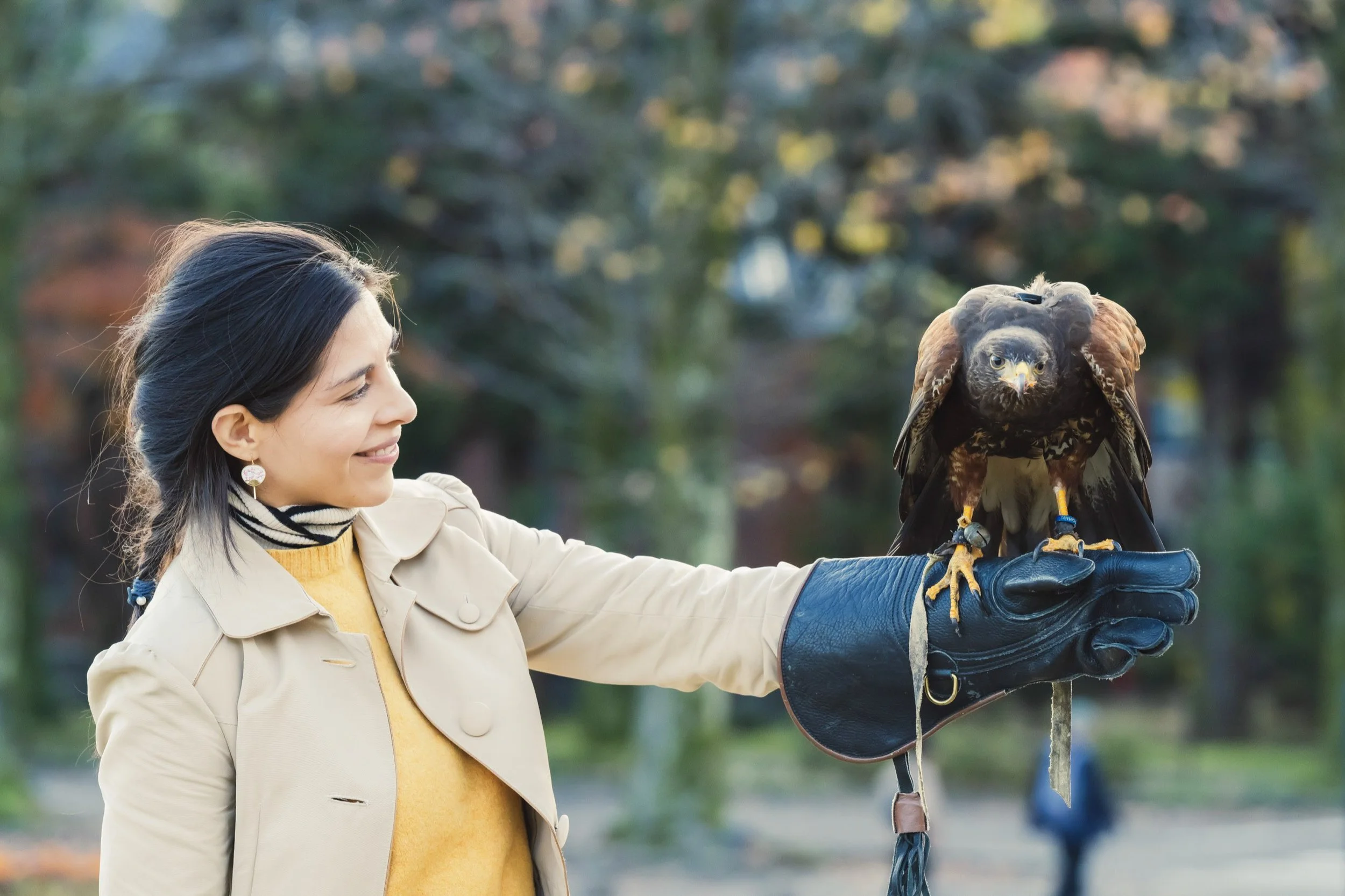 Falconry