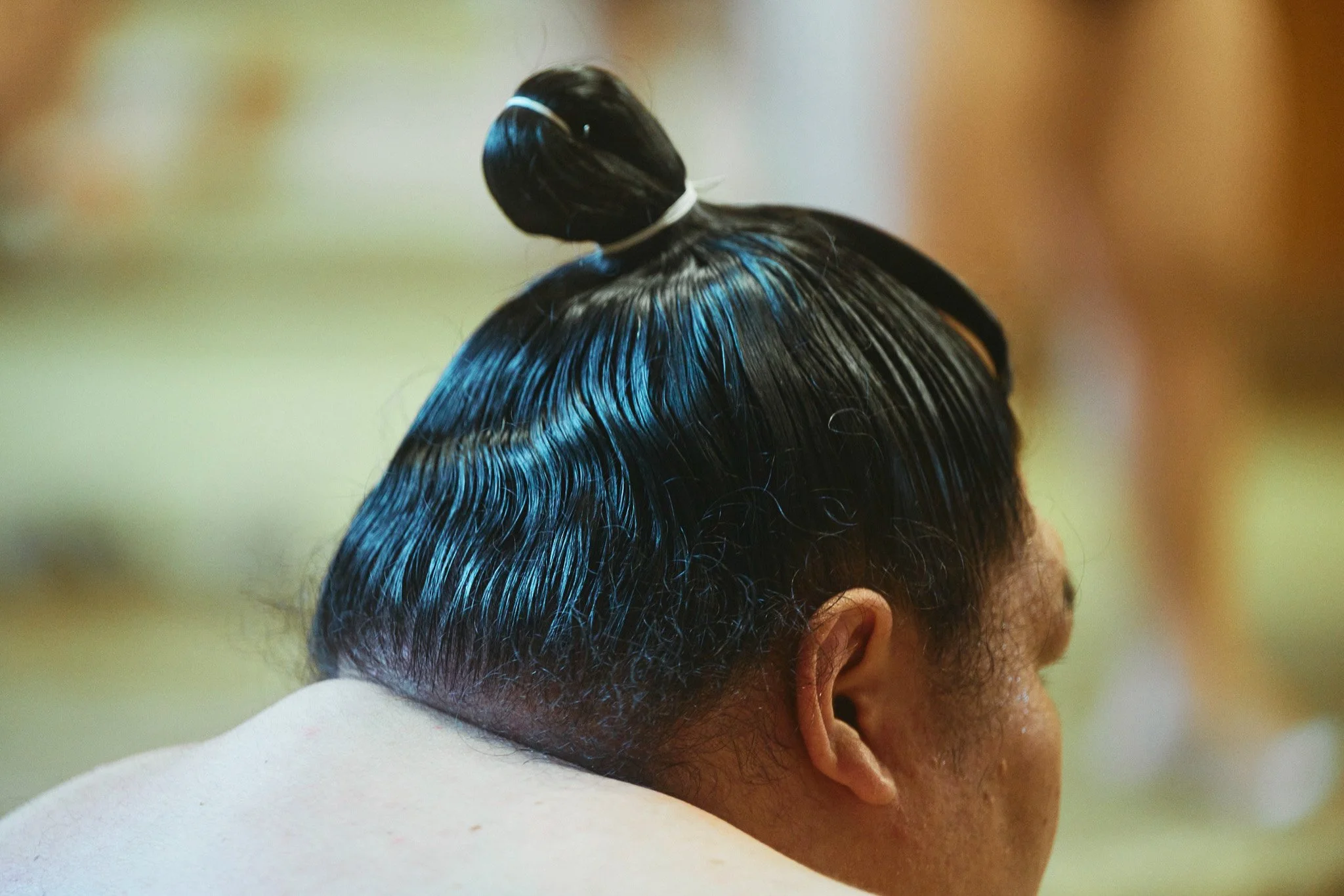 Tokyo_Oshiogawa_sumo_192.jpg