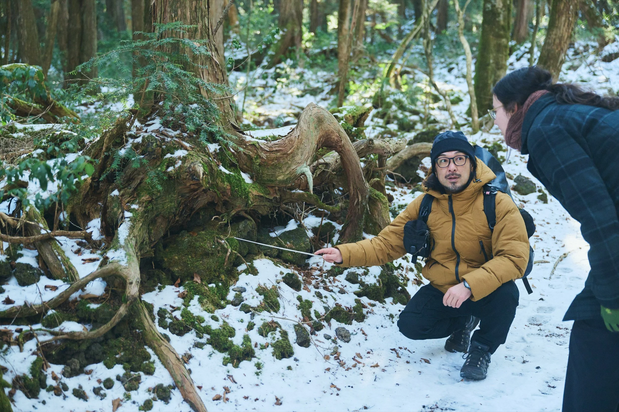 4-JP-19-HIKE-01_AokigaharaForestTour_FujiHat_2560px_040.jpg
