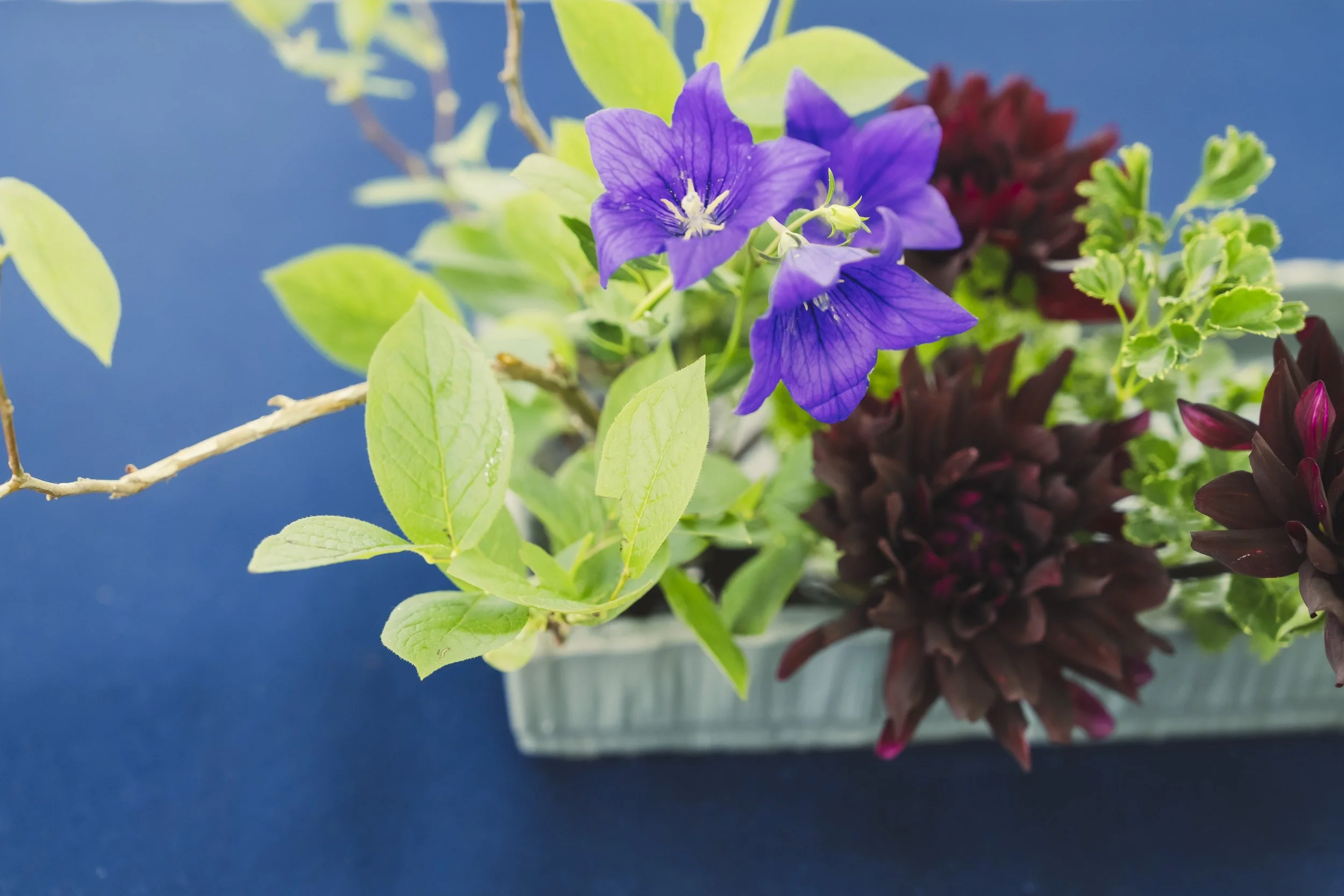 1-Sapporo_Ohara Ikebana_001.jpg