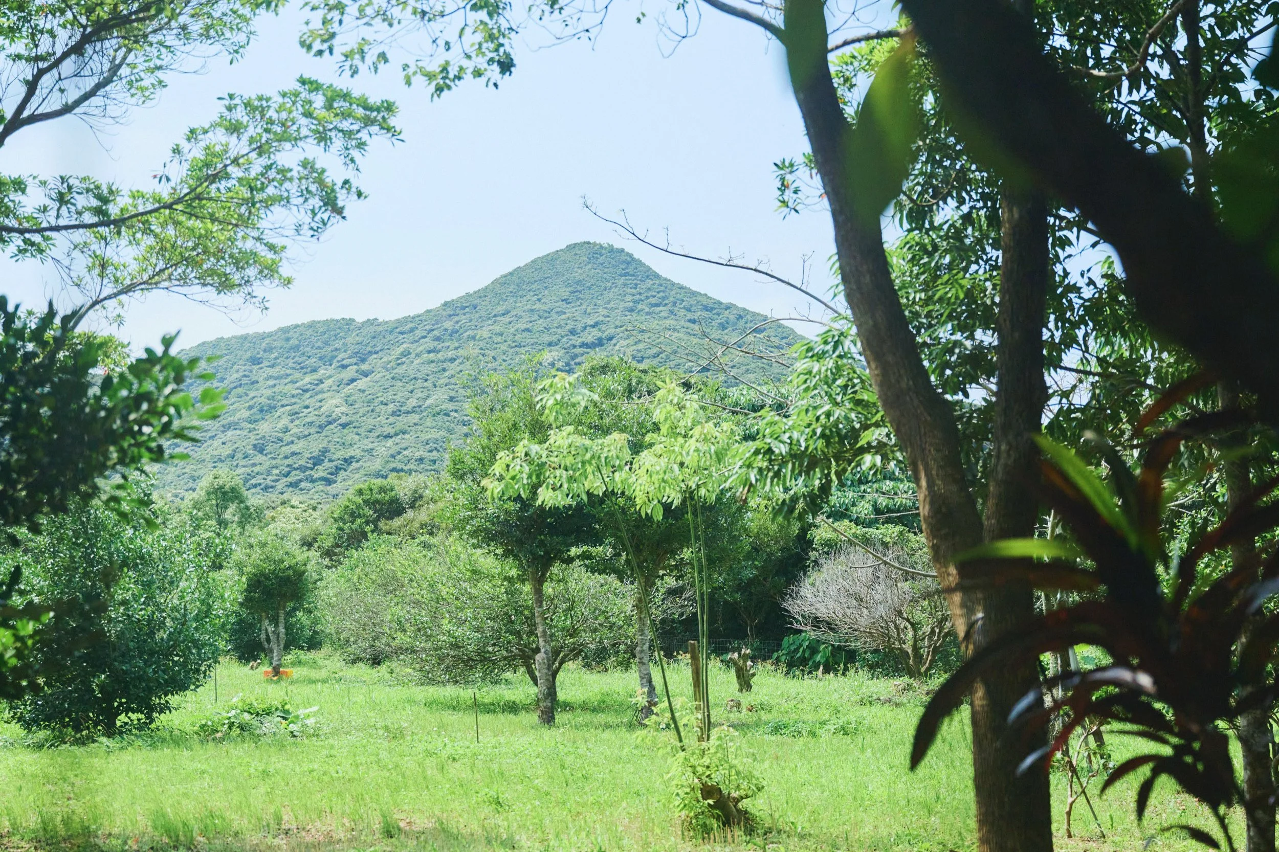 6-JP-47-ADVE-02_OKINAWA_YanbaruGuidedNatureTrek_2560px_236.jpg