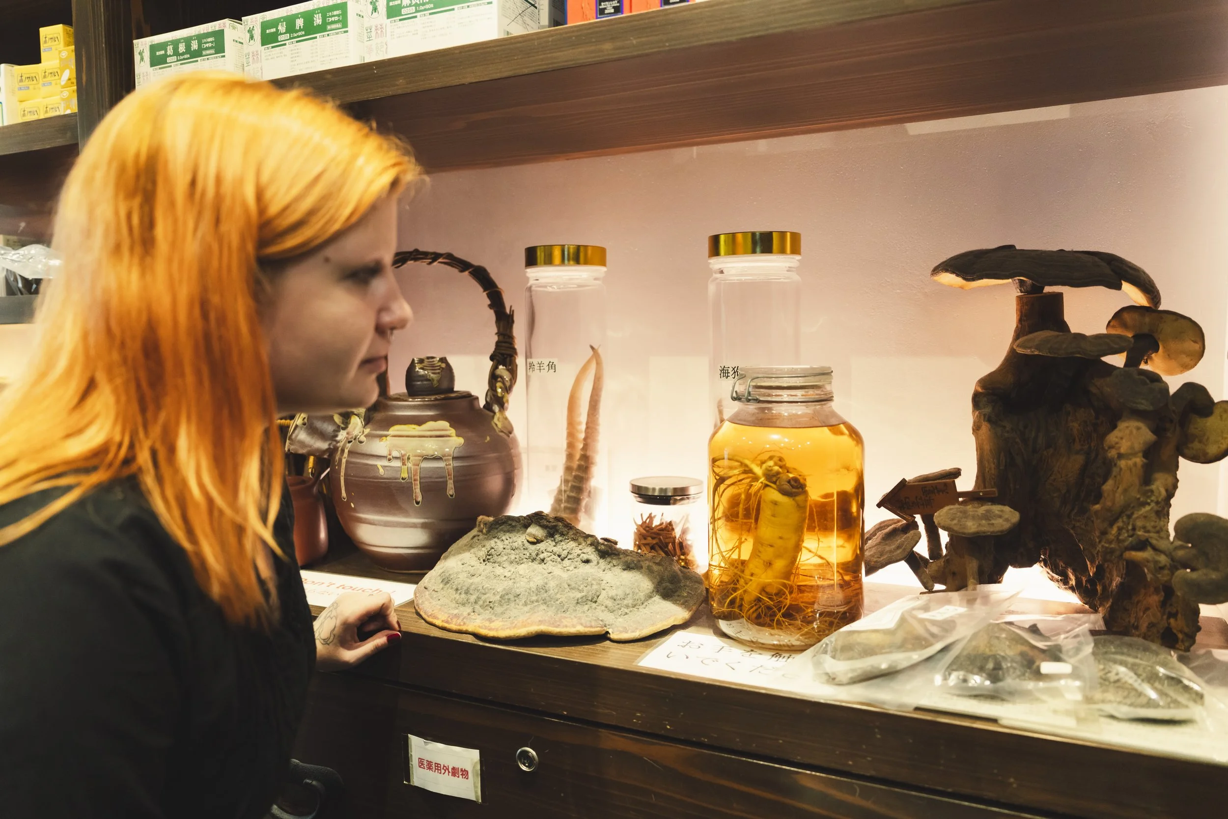 15-Kanazawa_Kampo Medicine_066.jpg