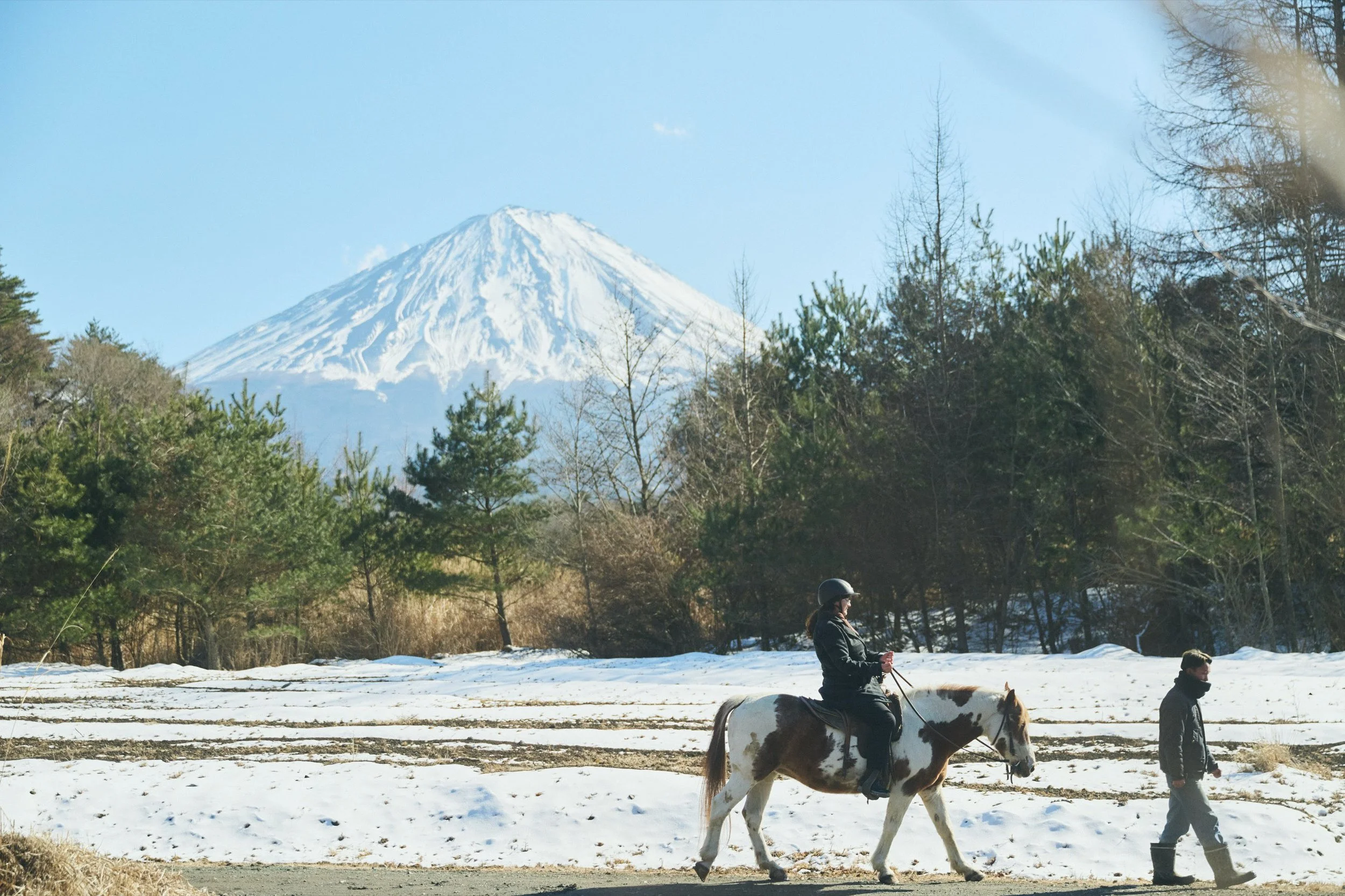 Fuji Horseback Riding
