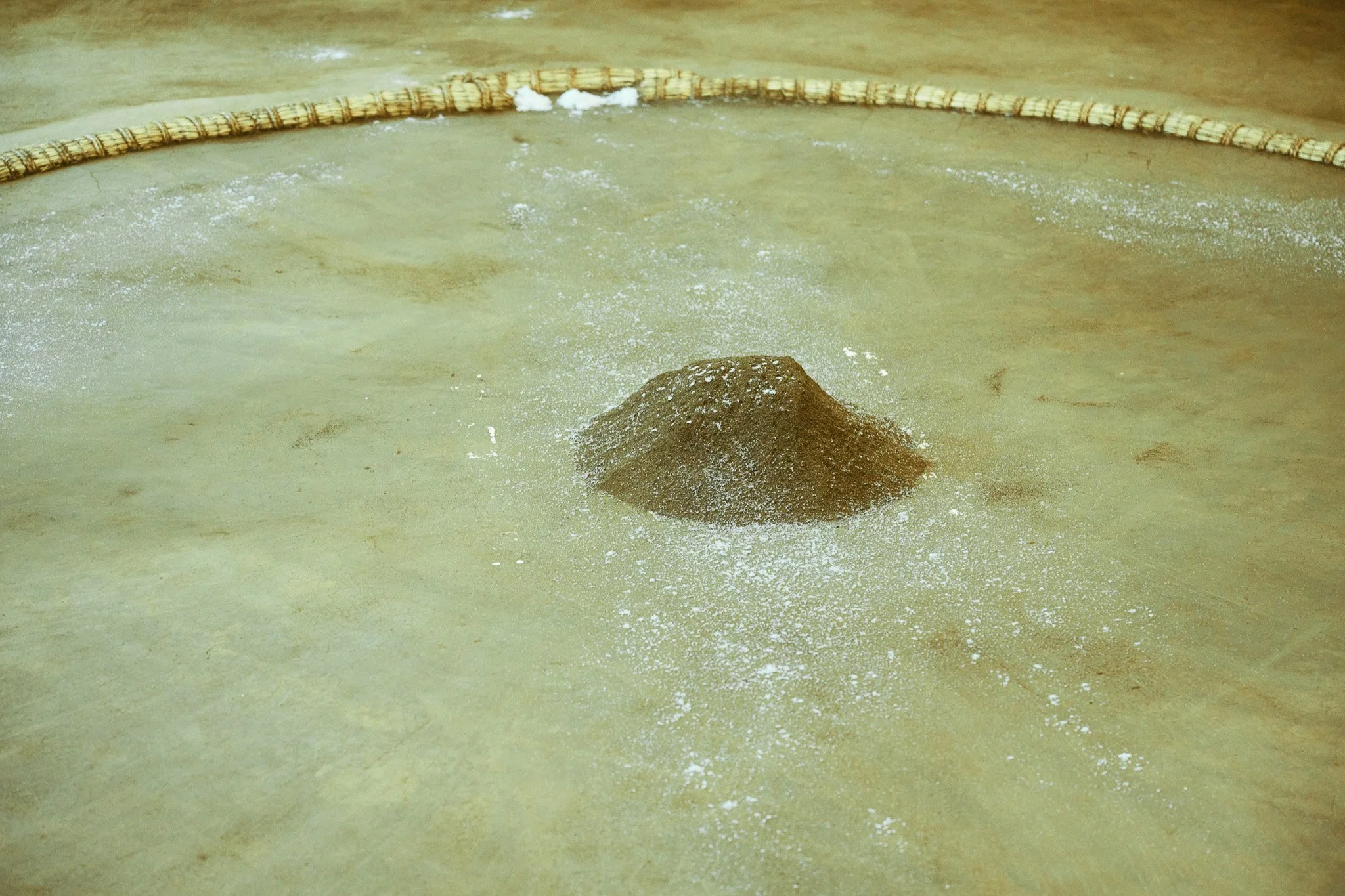 Tokyo_Oshiogawa_sumo_216.jpg