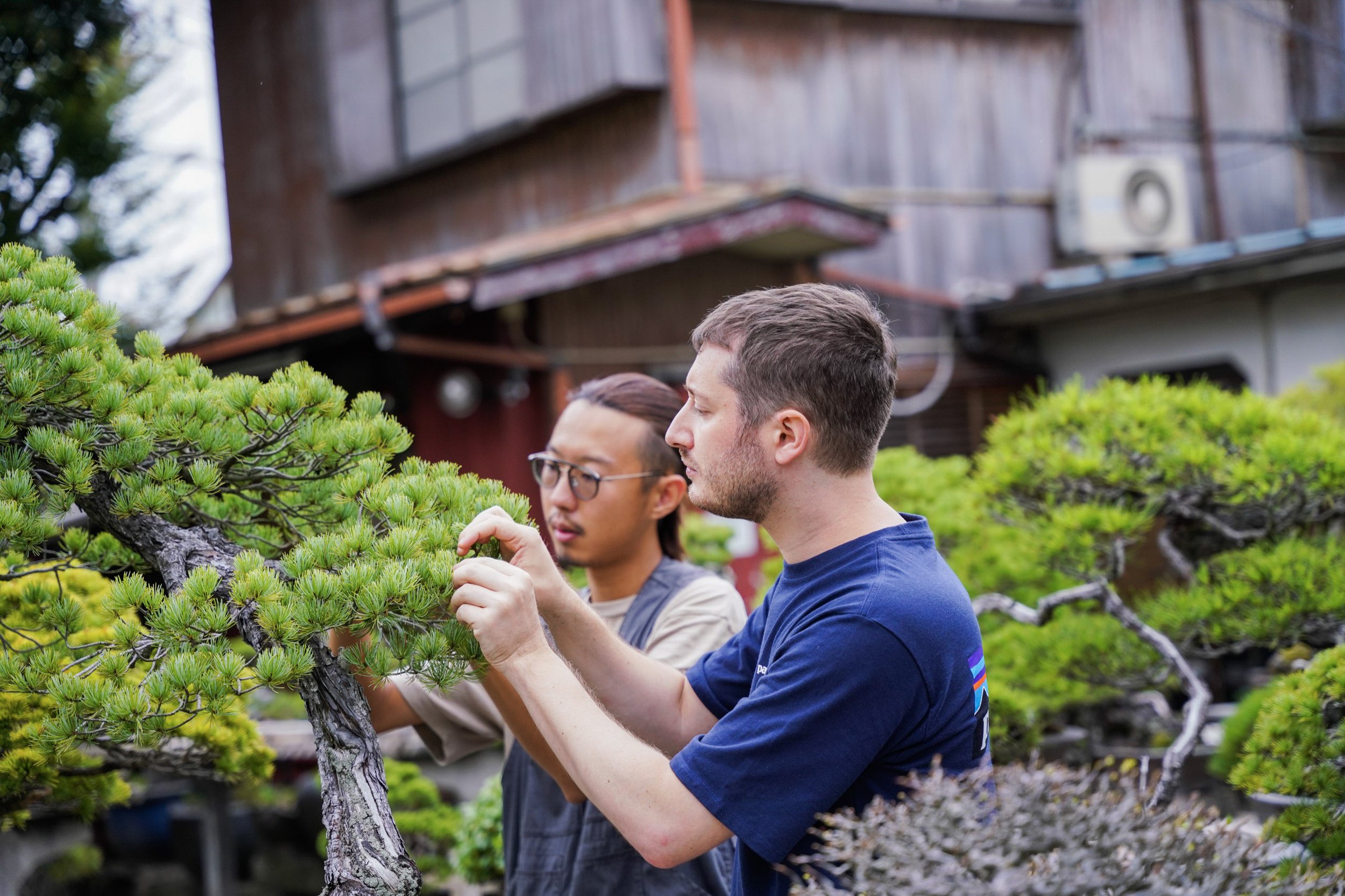 3-Toju-en_083.jpg